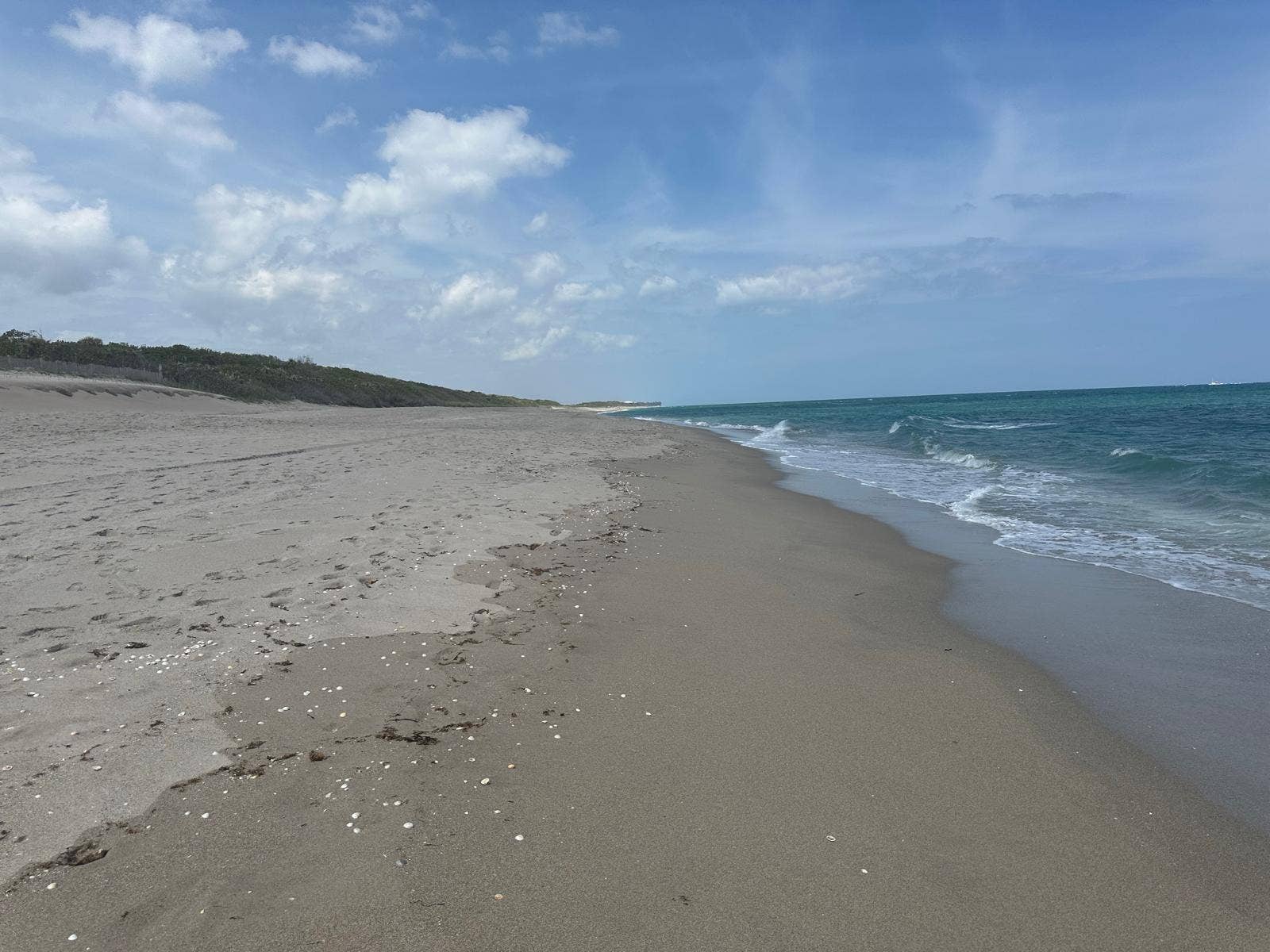5420 N OCEAN Drive, #1903, Singer Island, FL 33404 IMG-20251115-WA0043