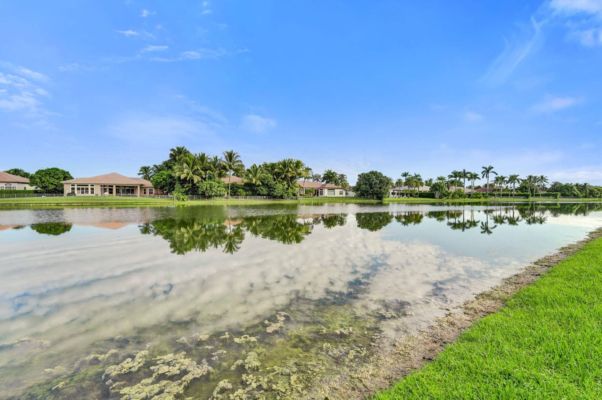 42-web-or-mls-DSC01859