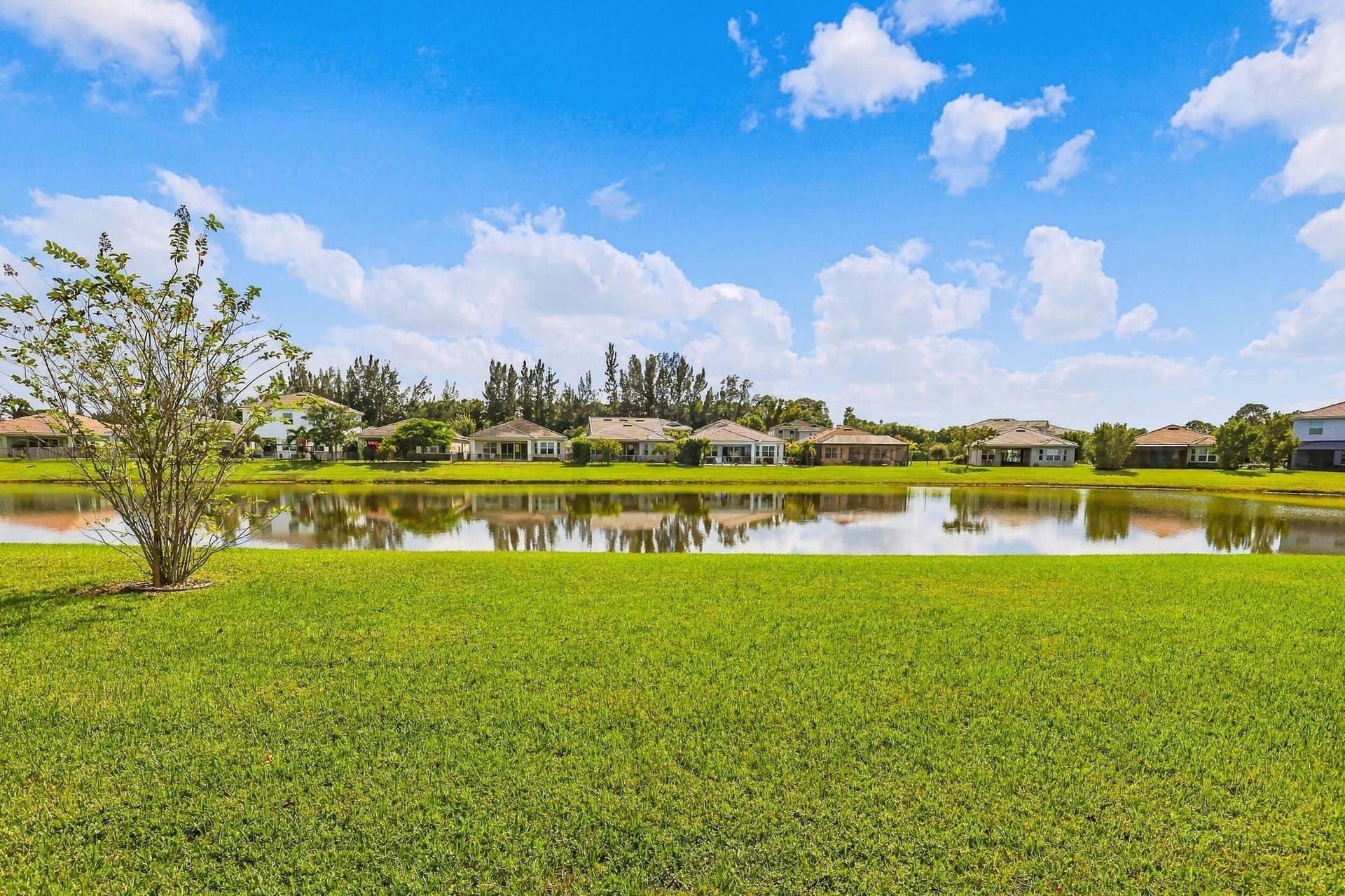 Lake view