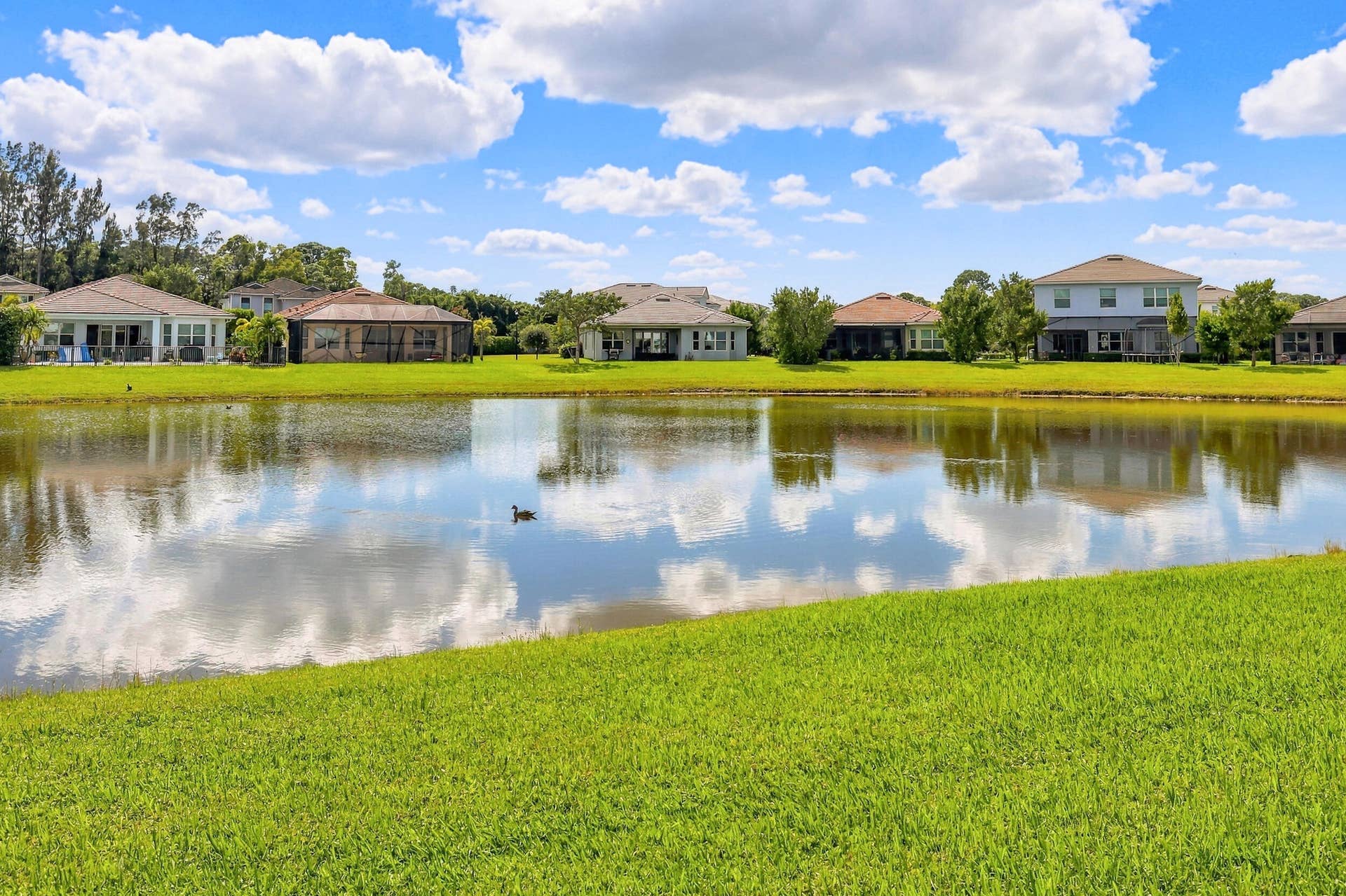 Lake View