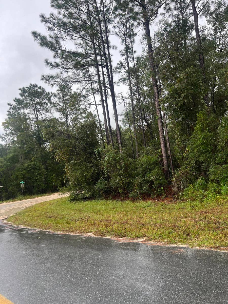 Property photo for Tbd NE 110th Lane, Archer, FL