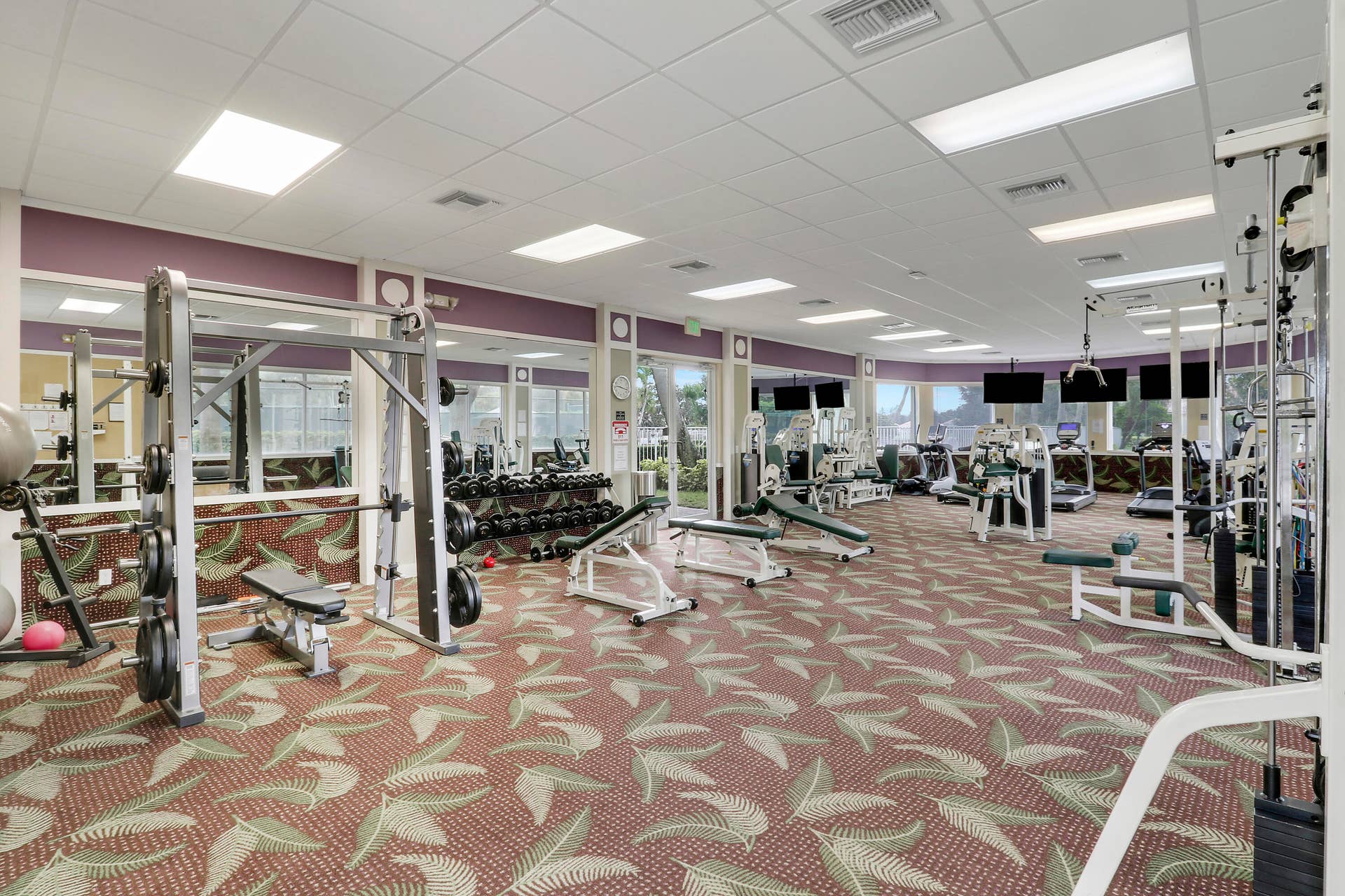 gym