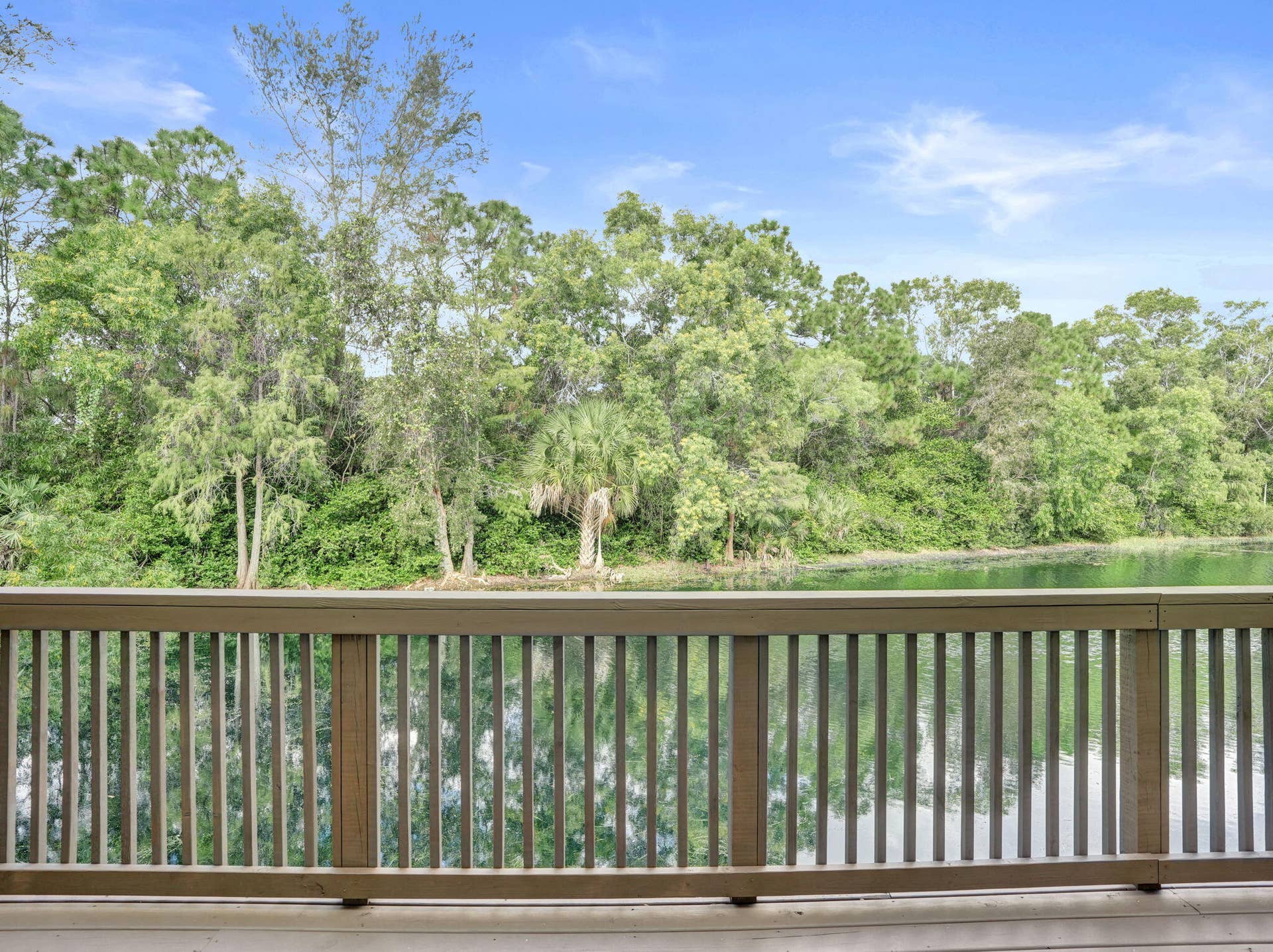 39-web-or-mls-DSC09767