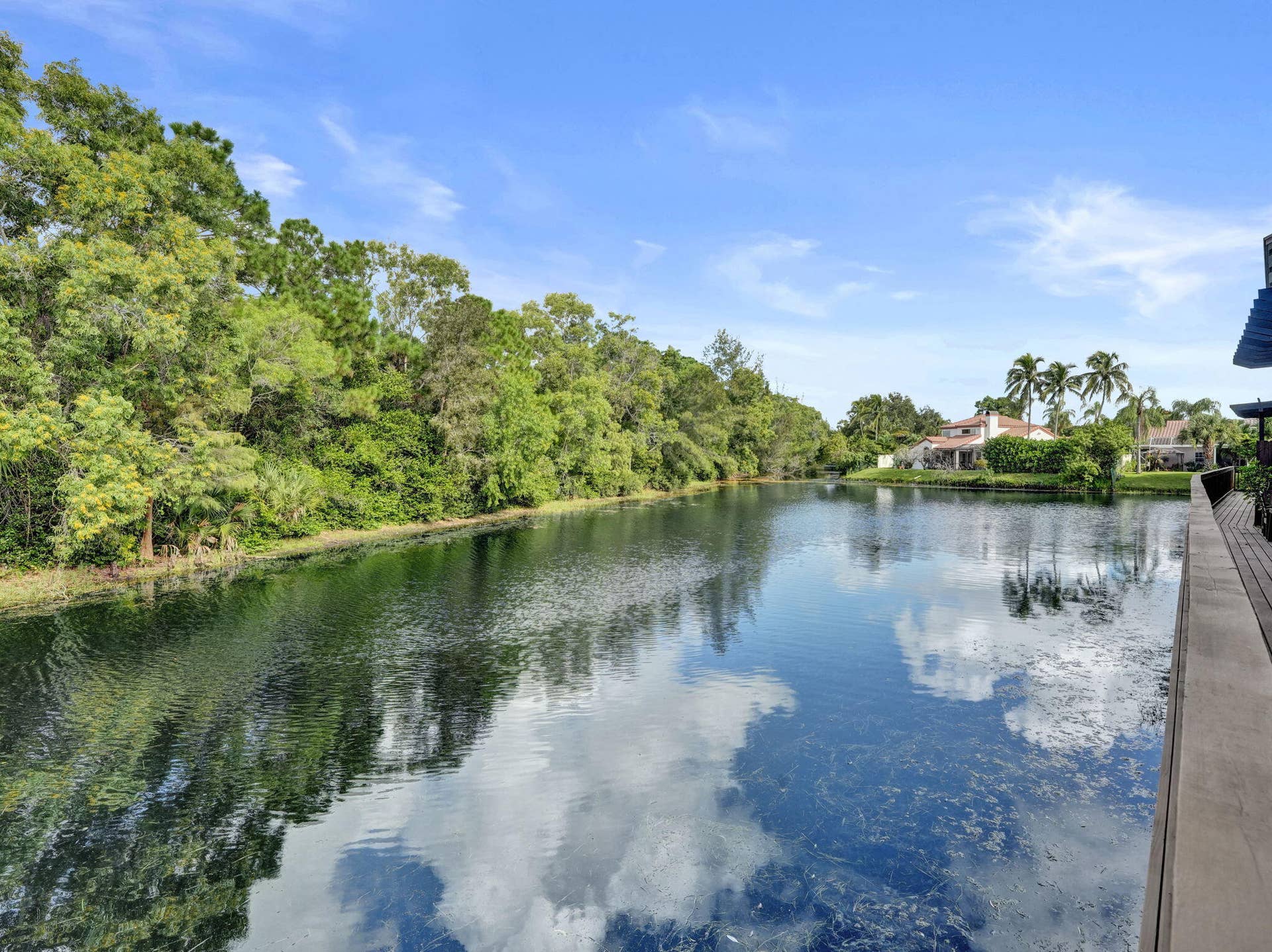 40-web-or-mls-DSC09770