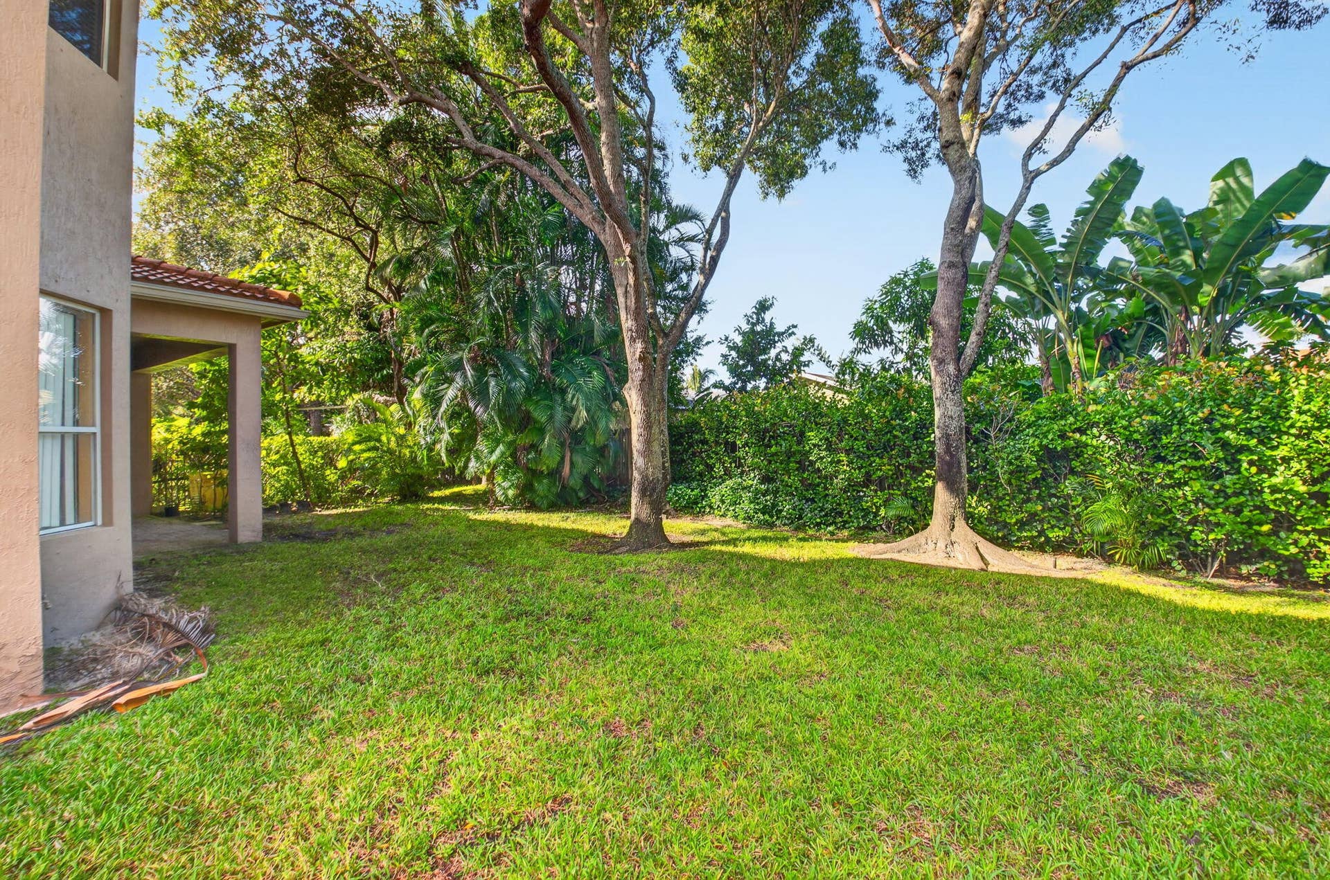 Big Backyard
