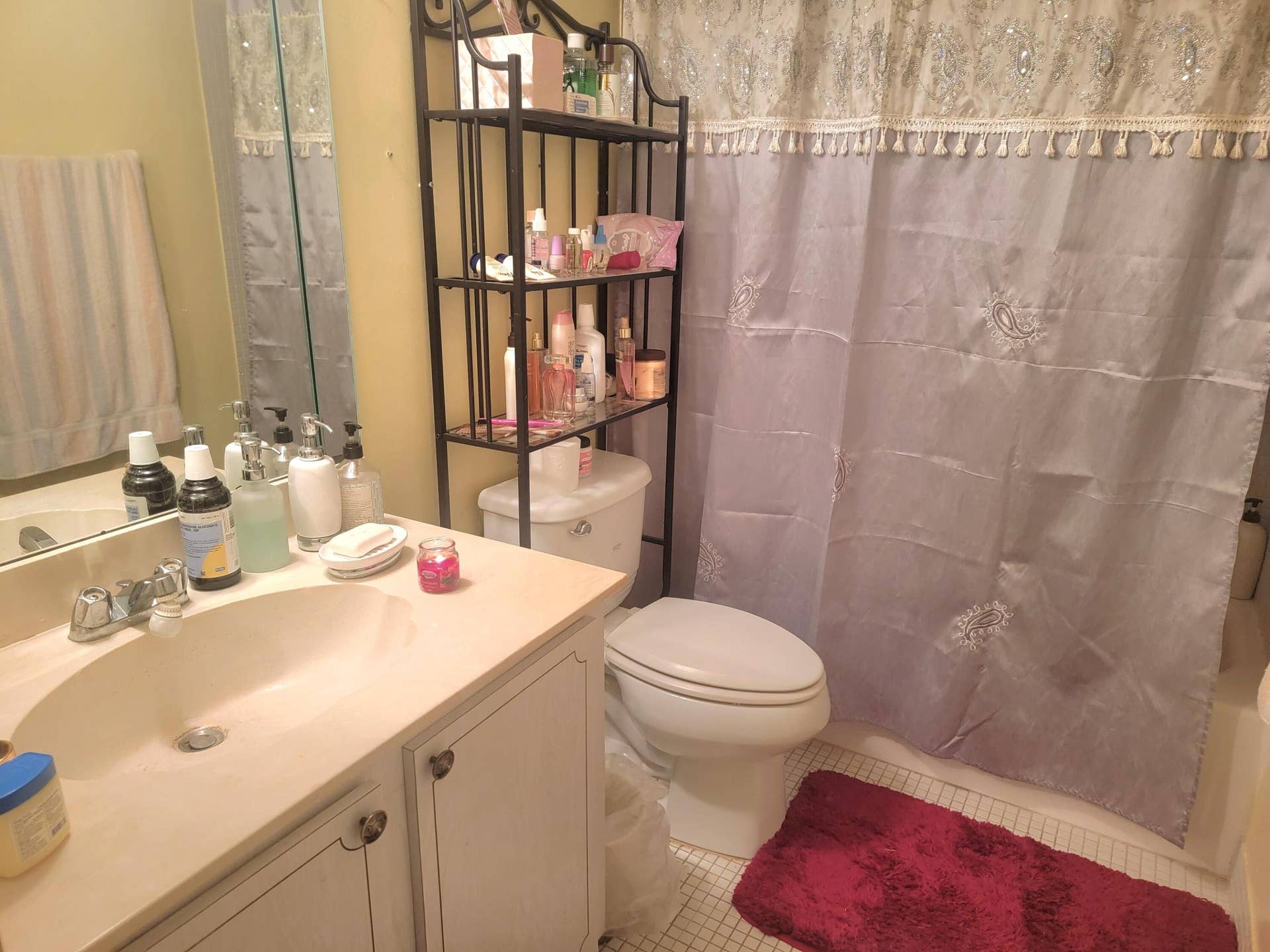 8240 SW 24th Street, #5101, North Lauderdale, FL 33068 Guest bathroom