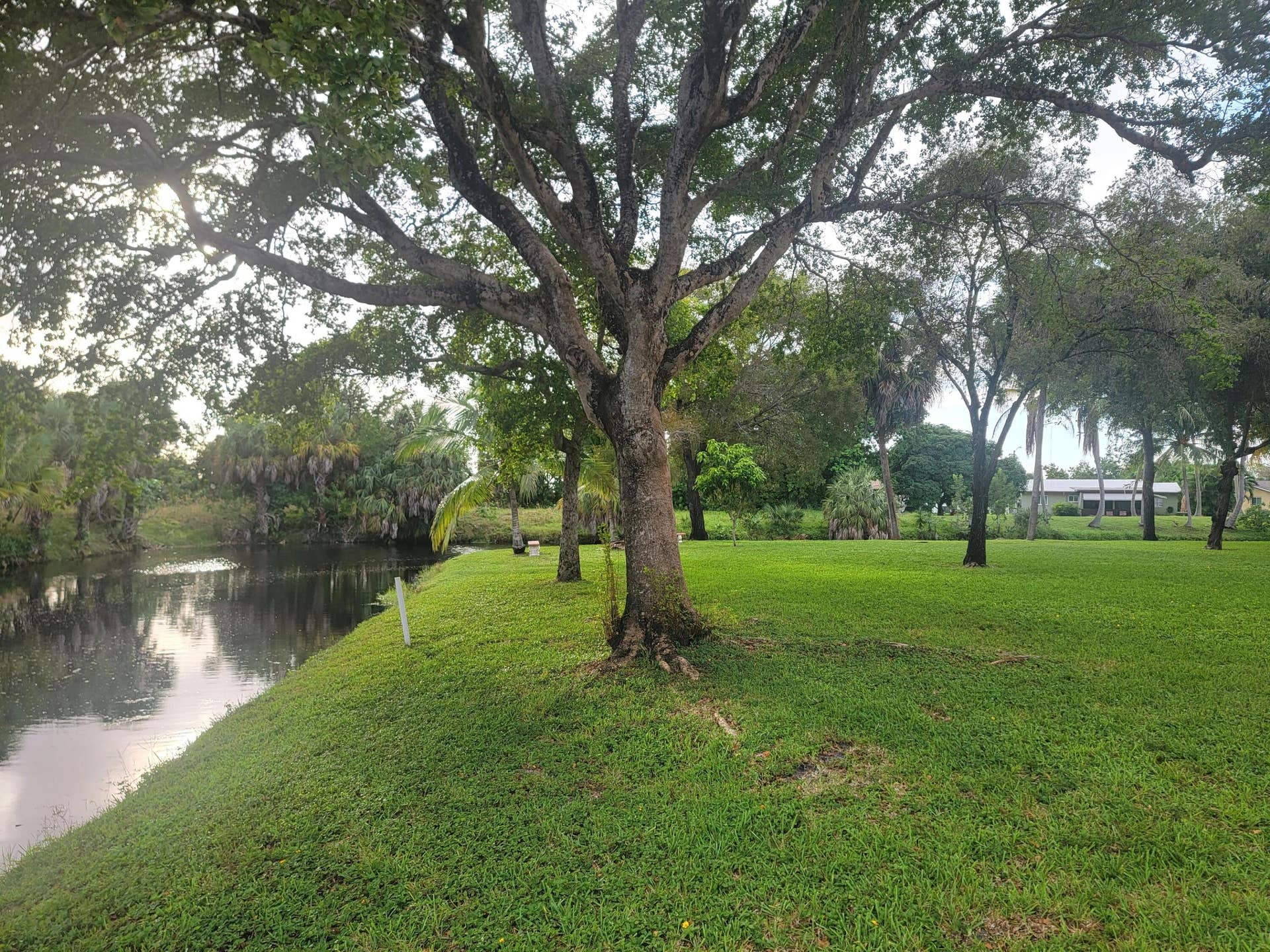 8240 SW 24th Street, #5101, North Lauderdale, FL 33068 20261019_173545