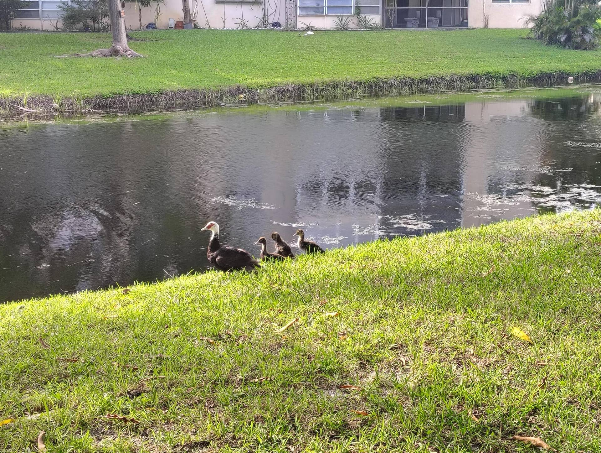 Canal