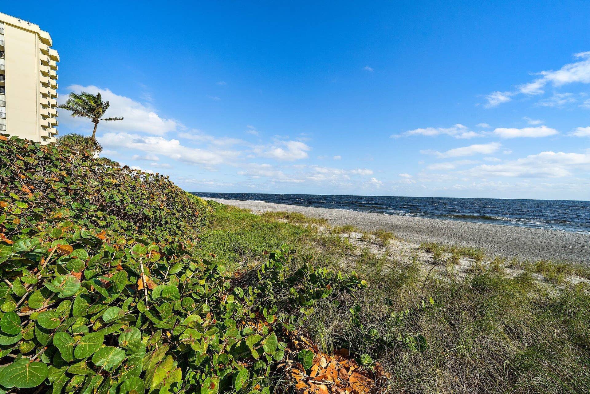 035-100OceanTrailWay609-Jupiter-FL-SMALL