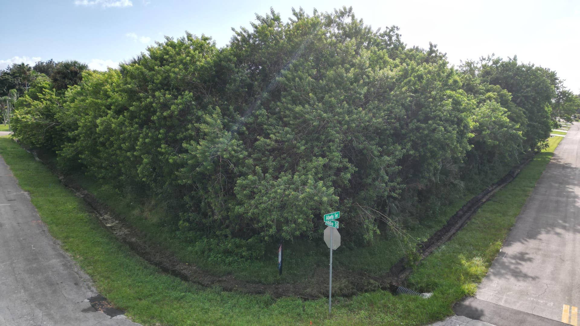 Corner View