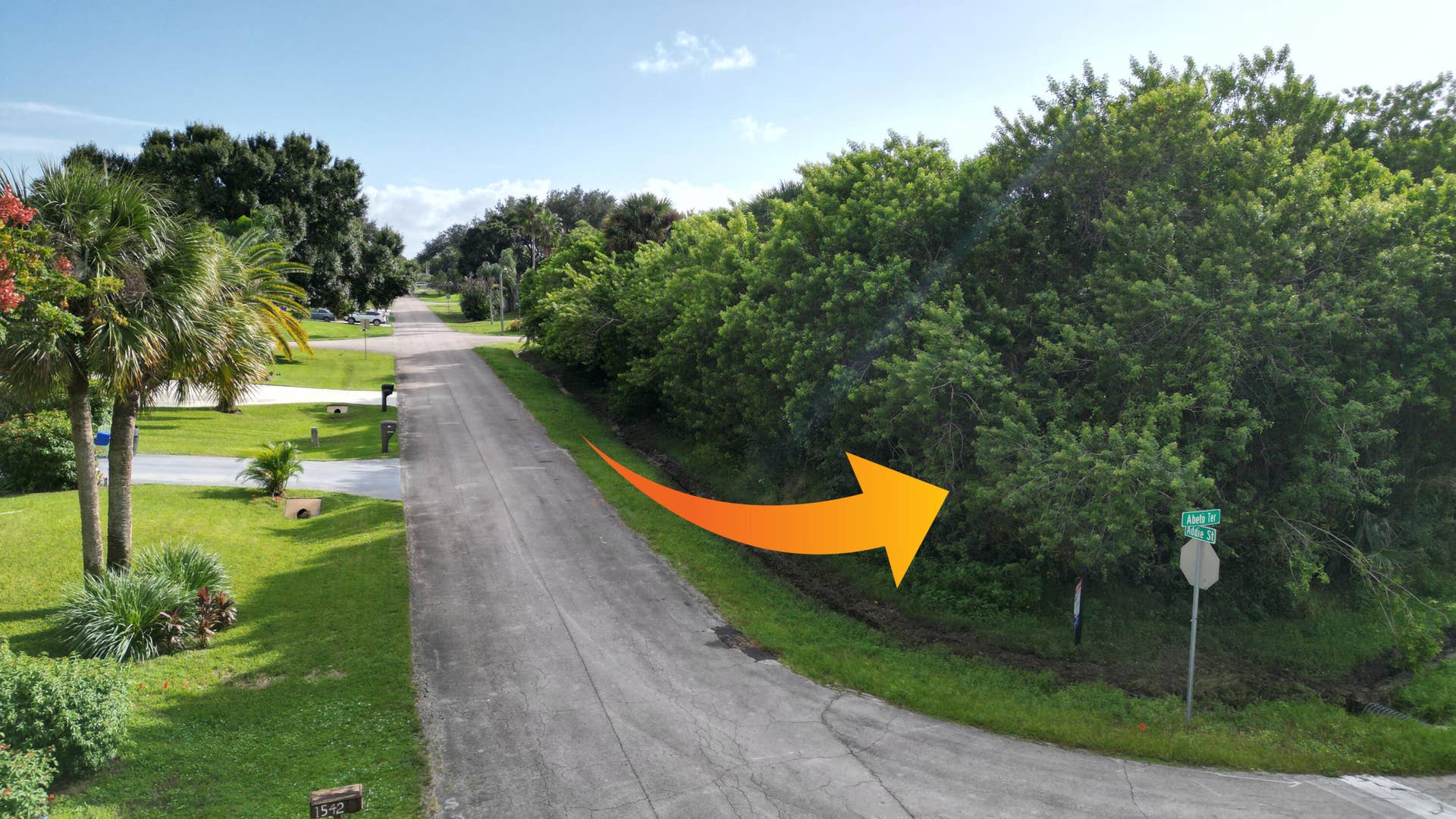 Corner lot featuring paved street access, established native trees, and dense natural vegetation