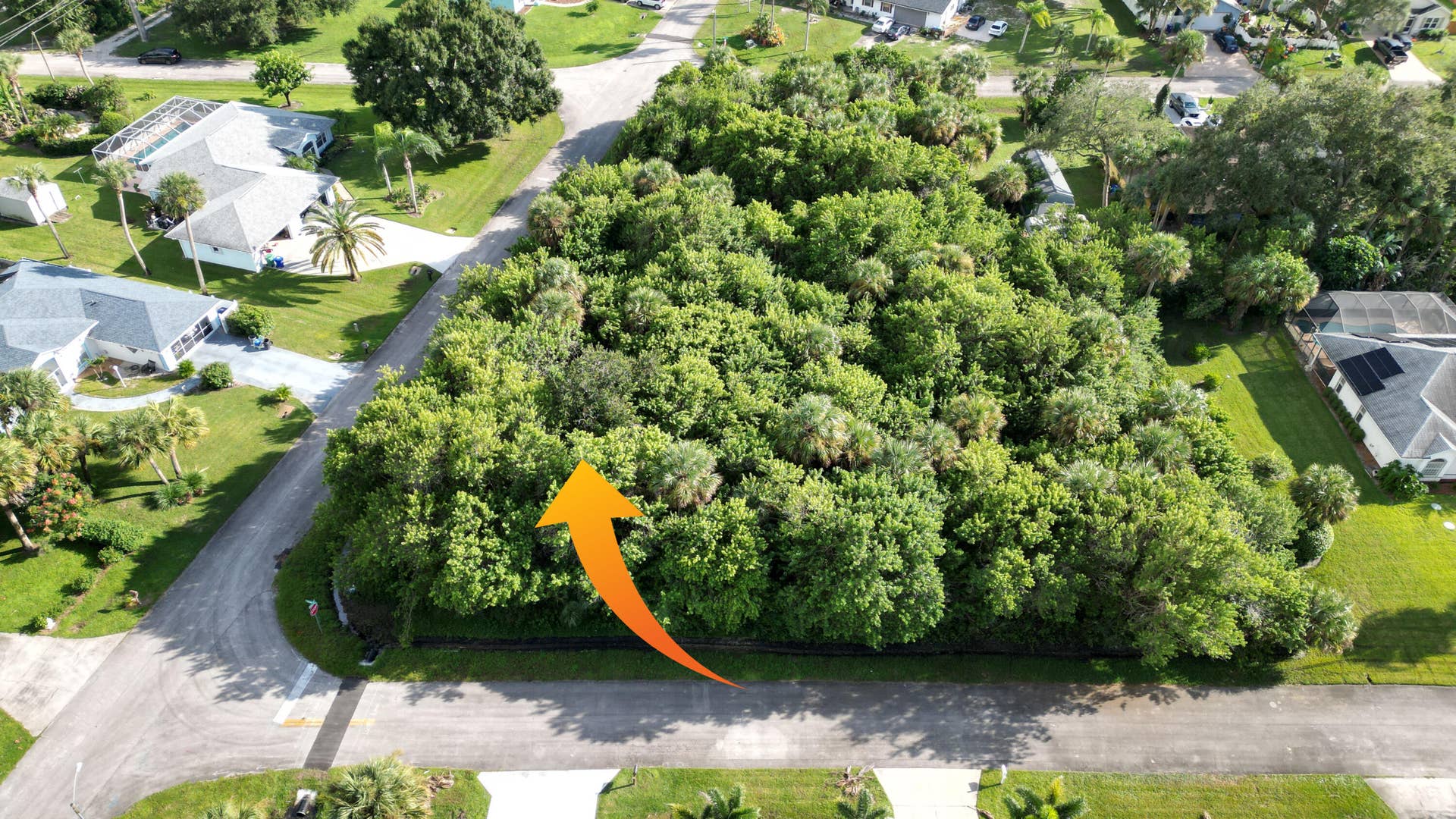 Parcel of land featuring mature trees and established native vegetation