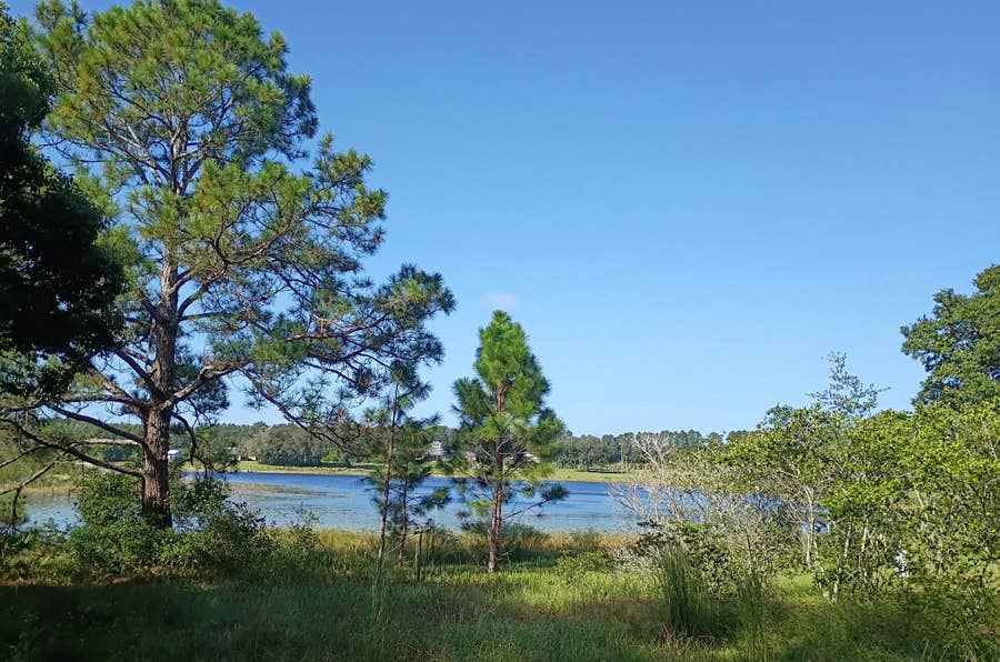 Property photo for 17230 SE Highway 42, Weirsdale, FL
