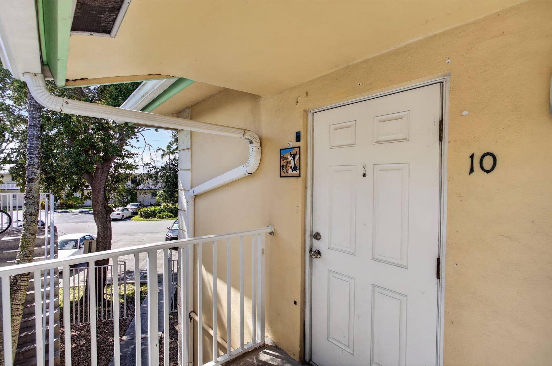 31-web-or-mls-901-50