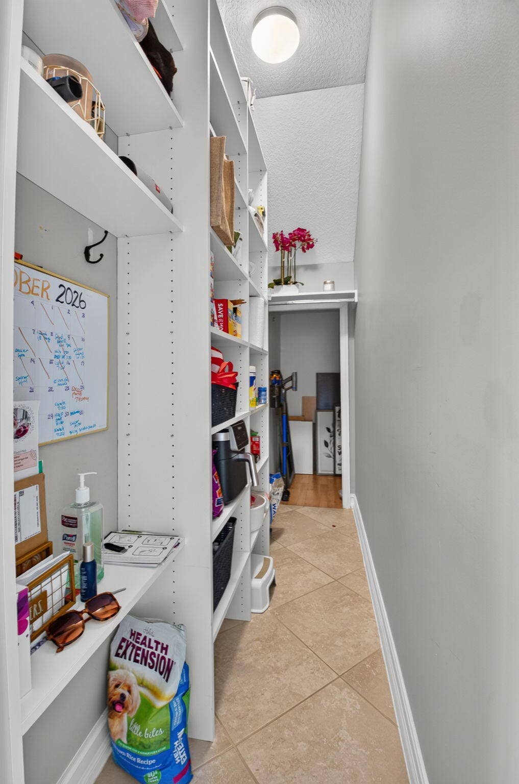 8140 Brigamar Isles Avenue, Boynton Beach, FL 33473 52-web-or-mls-DSC_8879