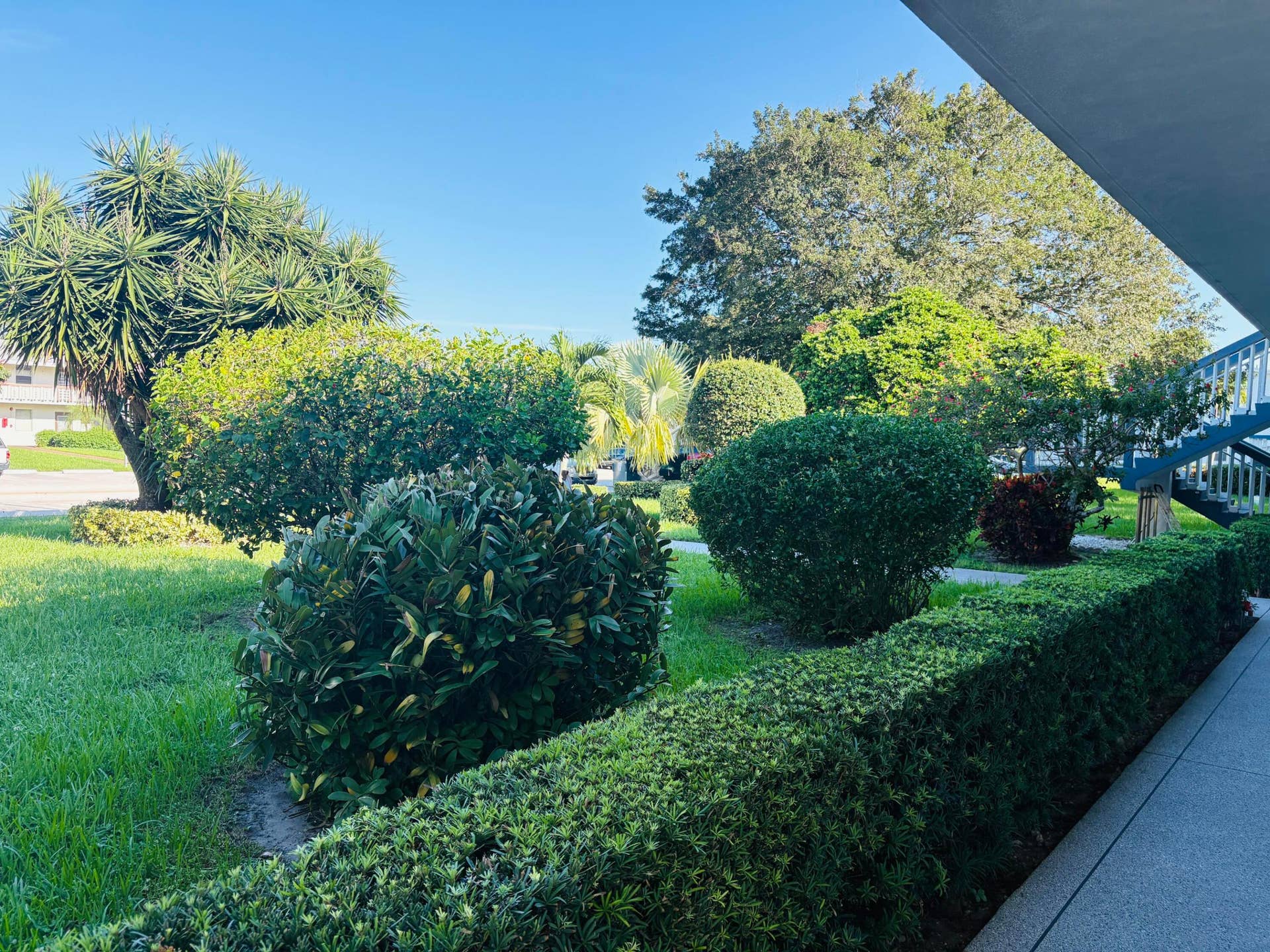 198 MARKHAM J, Deerfield Beach, Deerfield Beach, FL 33442 LANDSCAPE