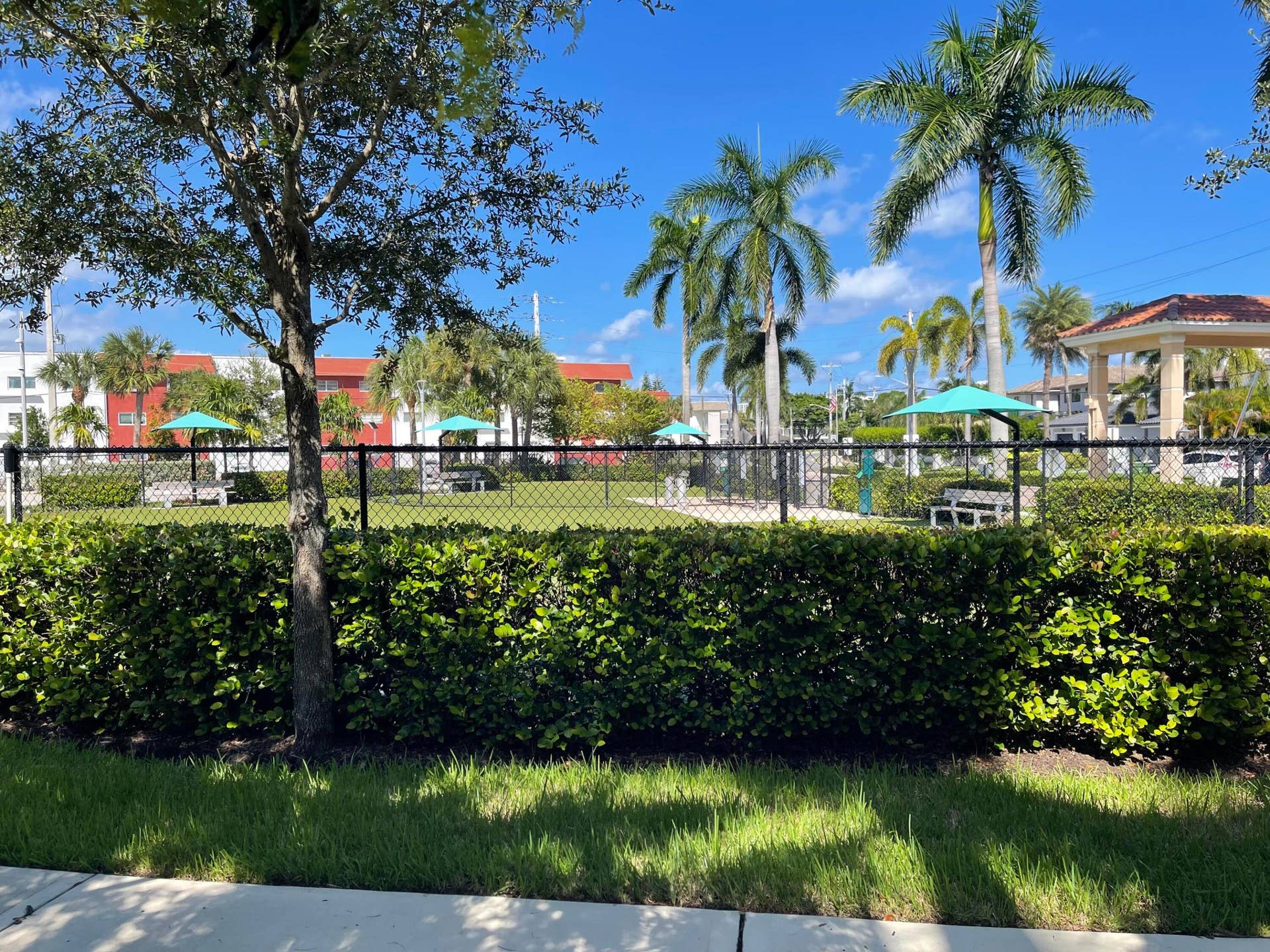 450 LAYNE Boulevard, #14, Hallandale Beach, FL 33009 IMG_7031