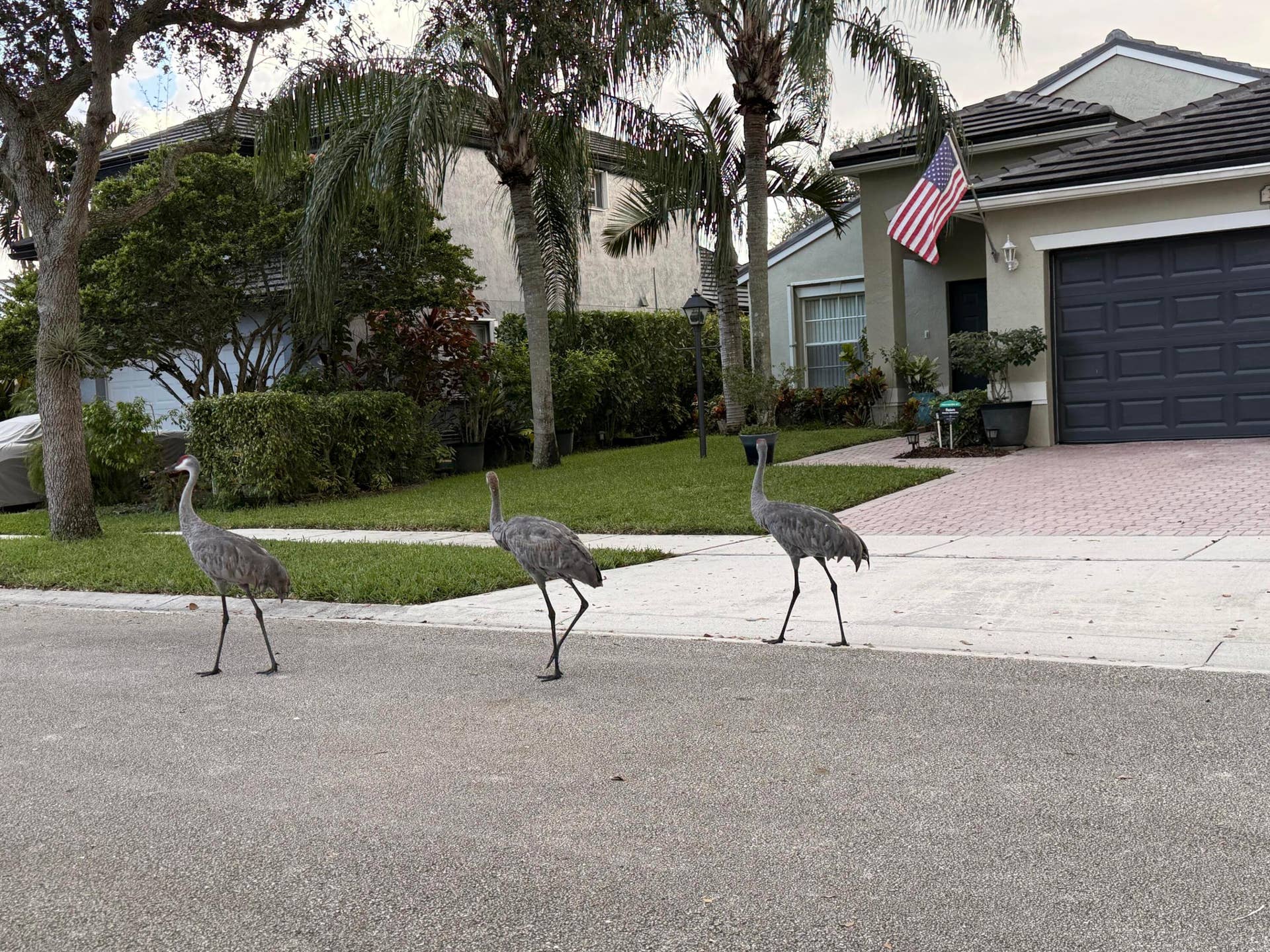 1384 NW 144th Avenue, Pembroke Pines, FL 33028 IMG_2702