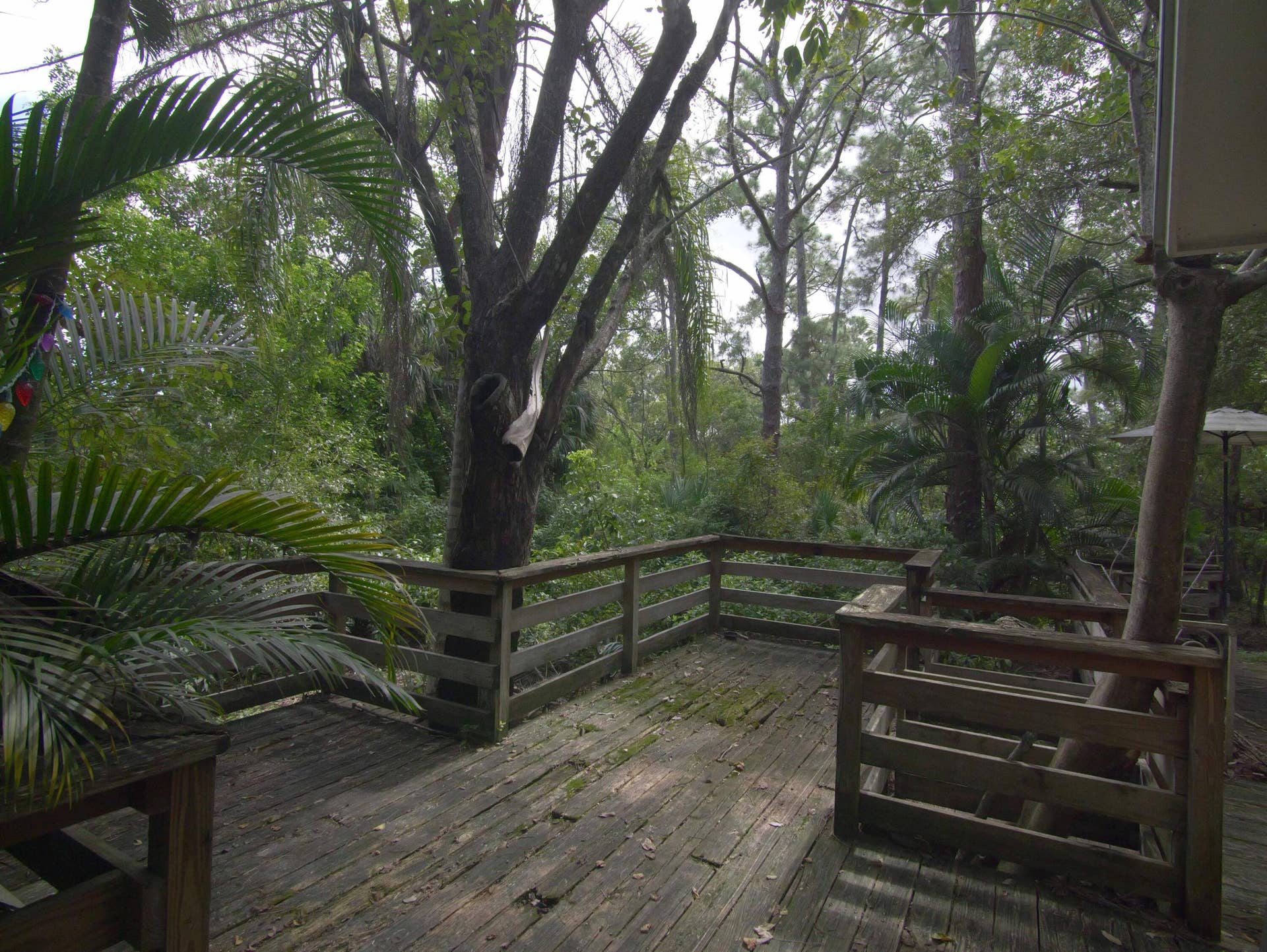 17032 130TH Avenue N, Jupiter, FL 33478 Decking nearly Surrounds the home