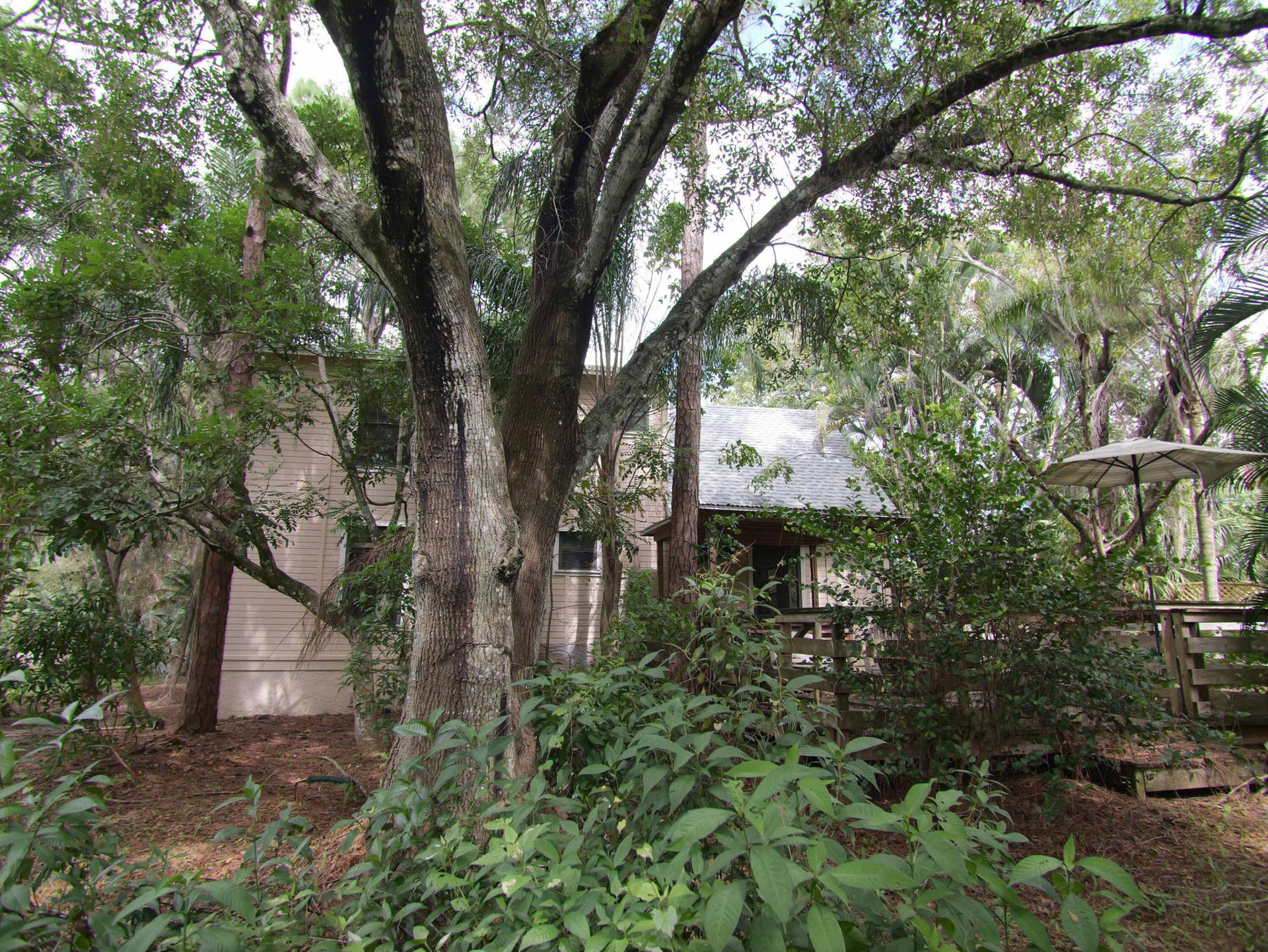 17032 130TH Avenue N, Jupiter, FL 33478 Green & lush looking at South side of Home.