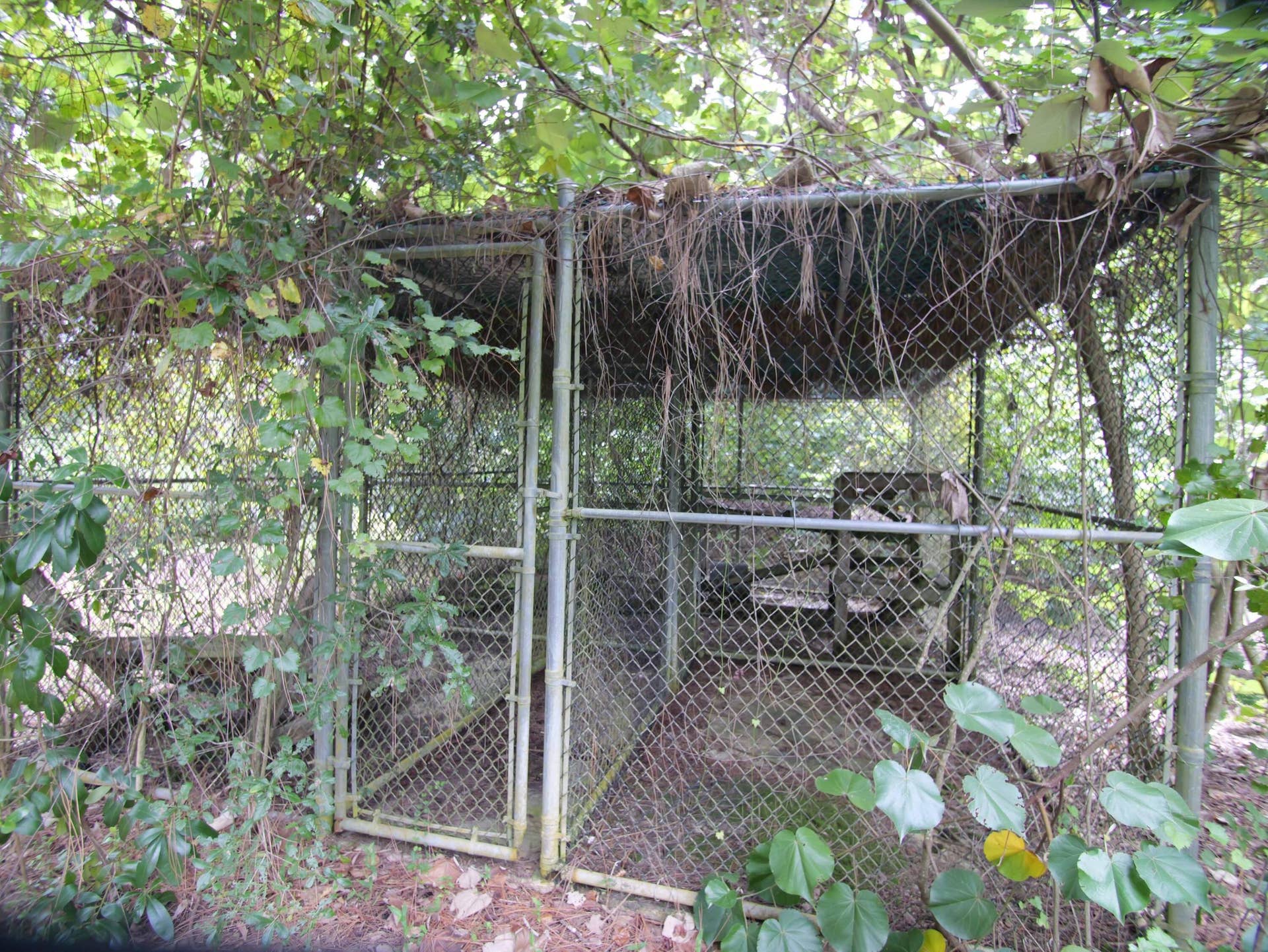 17032 130TH Avenue N, Jupiter, FL 33478 Big game & animal habitat.