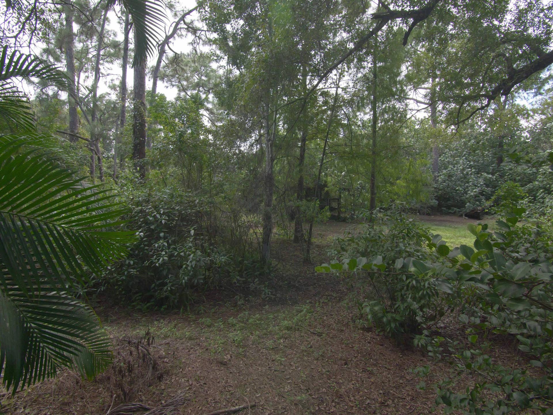17032 130TH Avenue N, Jupiter, FL 33478 Scenic Mix of Natural & cleared spaces
