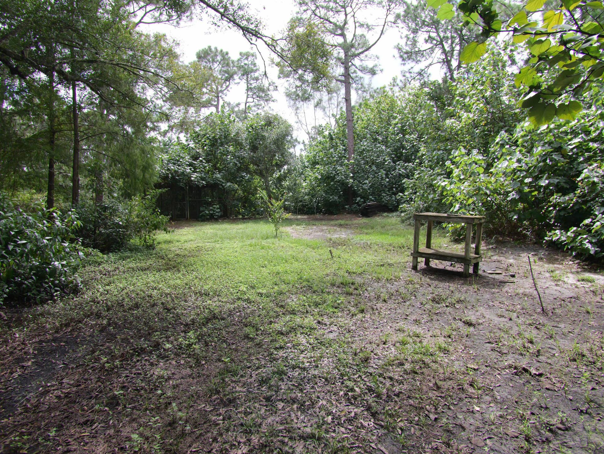 17032 130TH Avenue N, Jupiter, FL 33478 Large yard to make any way you would like...