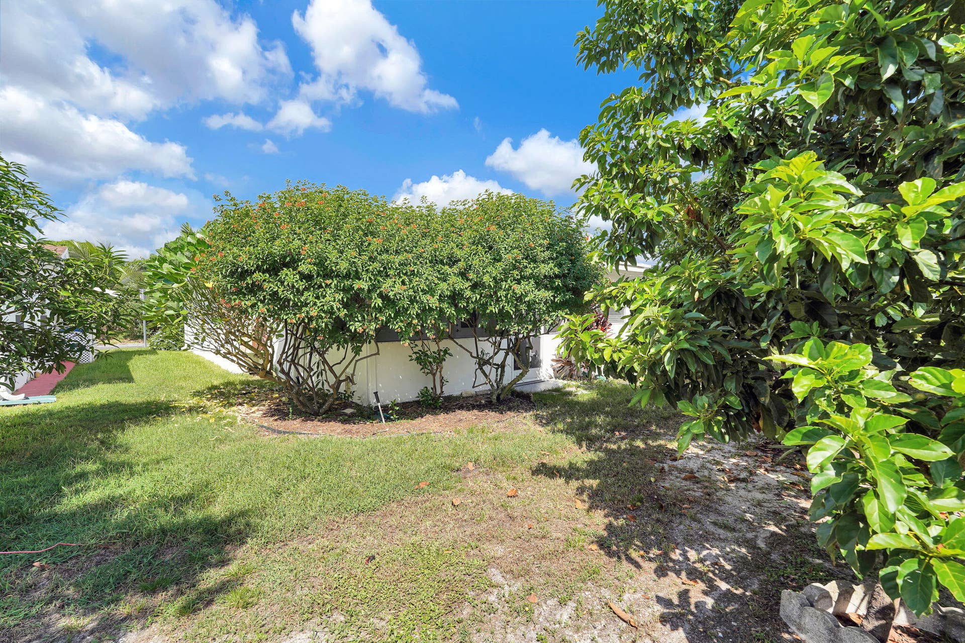 1050 NW 73RD Terrace, Margate, FL 33063 Butterfly friendly garden