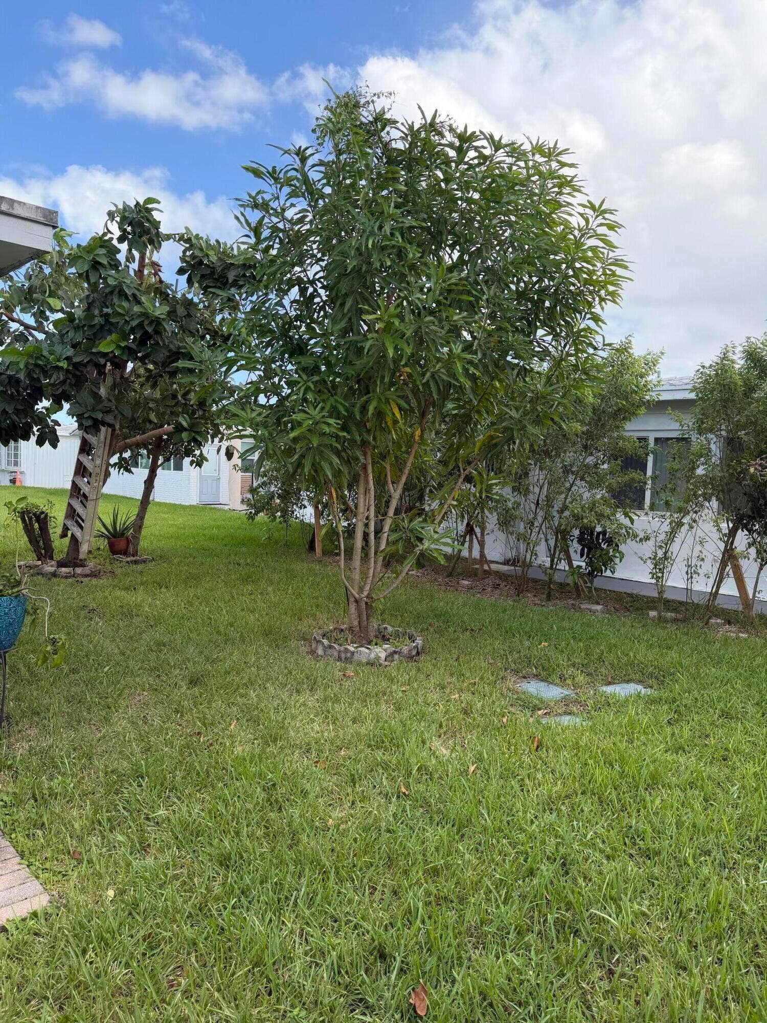 8106 NW 59TH Court, Tamarac, FL 33321 IMG_1244