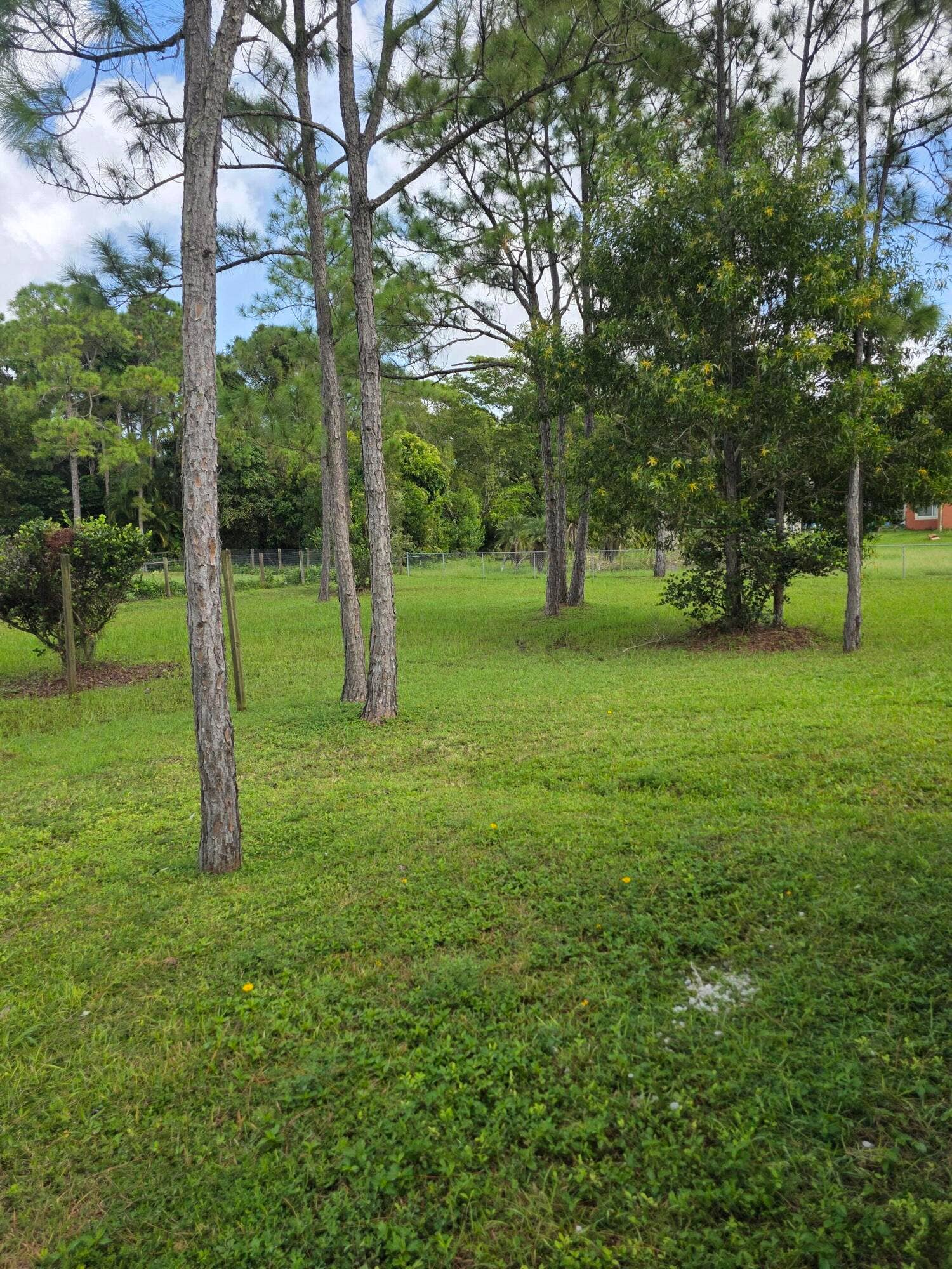 12947 63RD Lane N, West Palm Beach, The Acreage, FL 33412 20261019_125851