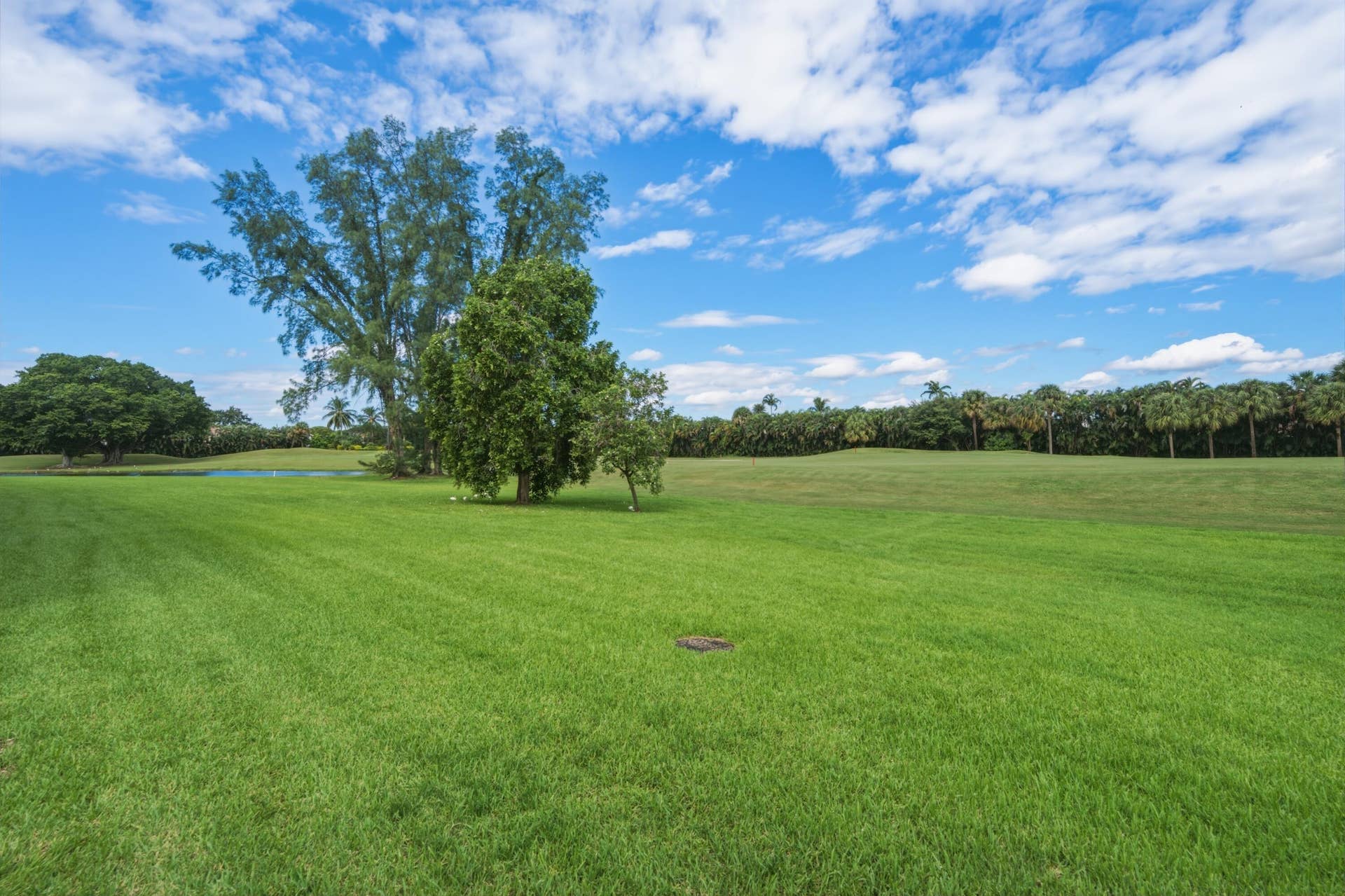 9411 N HOLLYBROOK LAKE Drive, #108, Pembroke Pines, FL 33025 19. Back Fairway Lake View