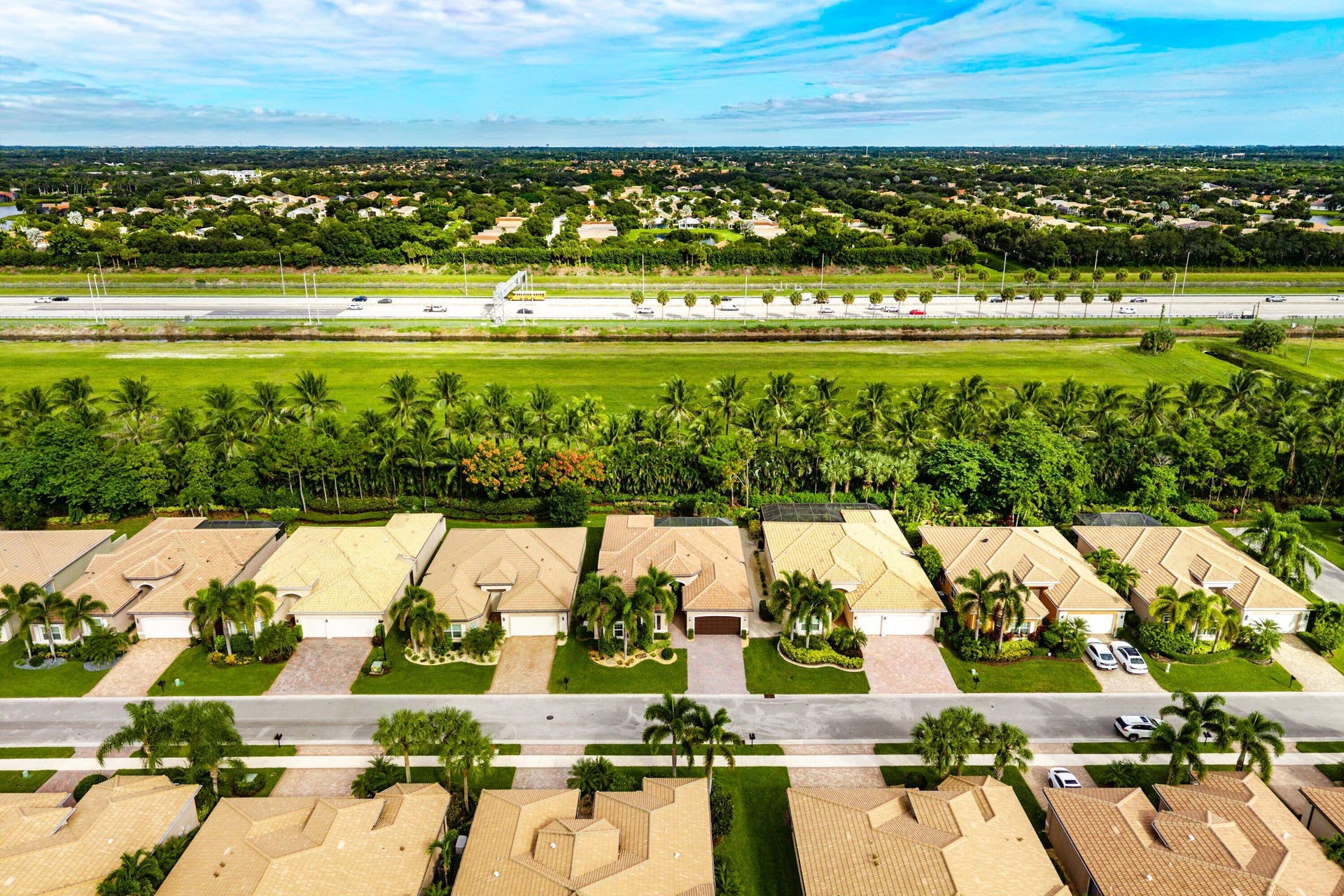 Aerial perspective of a suburban neighborhood featuring paved streets, multi-textured rooflines, and mature landscaping including integrated palm trees