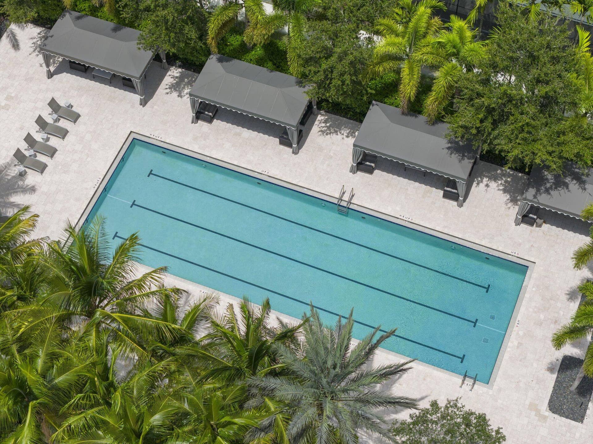 Rectangular swimming pool with lane markers, surrounded by light-toned paving, mature palm trees, and three shaded cabanas