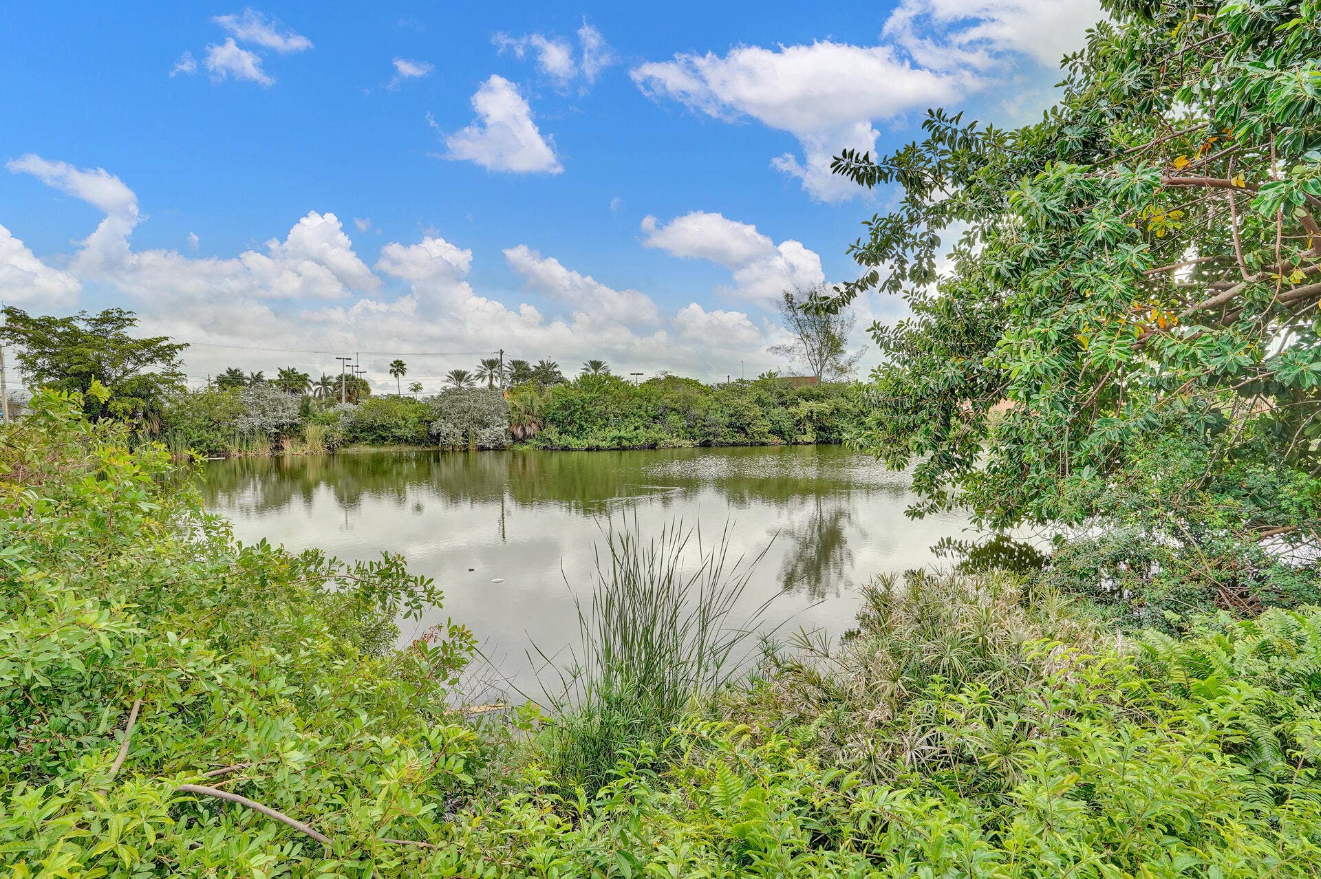 1236 NE 18th Avenue, #B-C, Fort Lauderdale, FL 33304 DSC02224