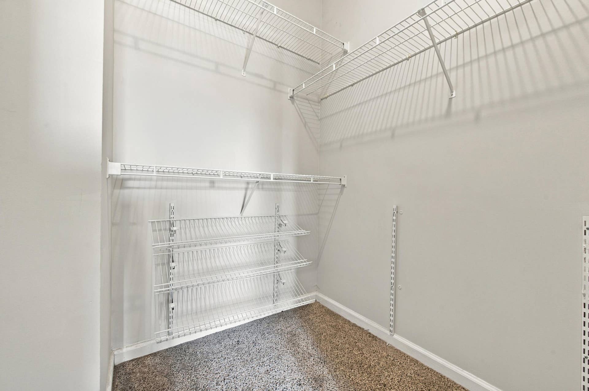 533 NE 3RD Avenue, #202, Fort Lauderdale, FL 33301 Walk-in storage space featuring multi-level white wire shelving and carpeted flooring