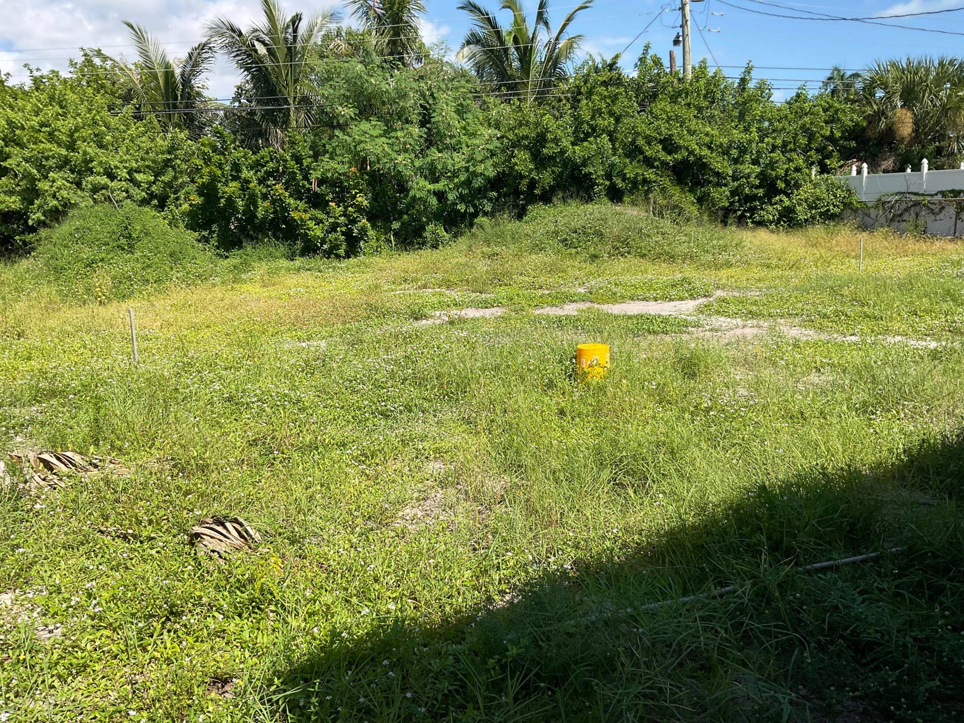 1311 11th Court, West Palm Beach, FL 33401 back yard