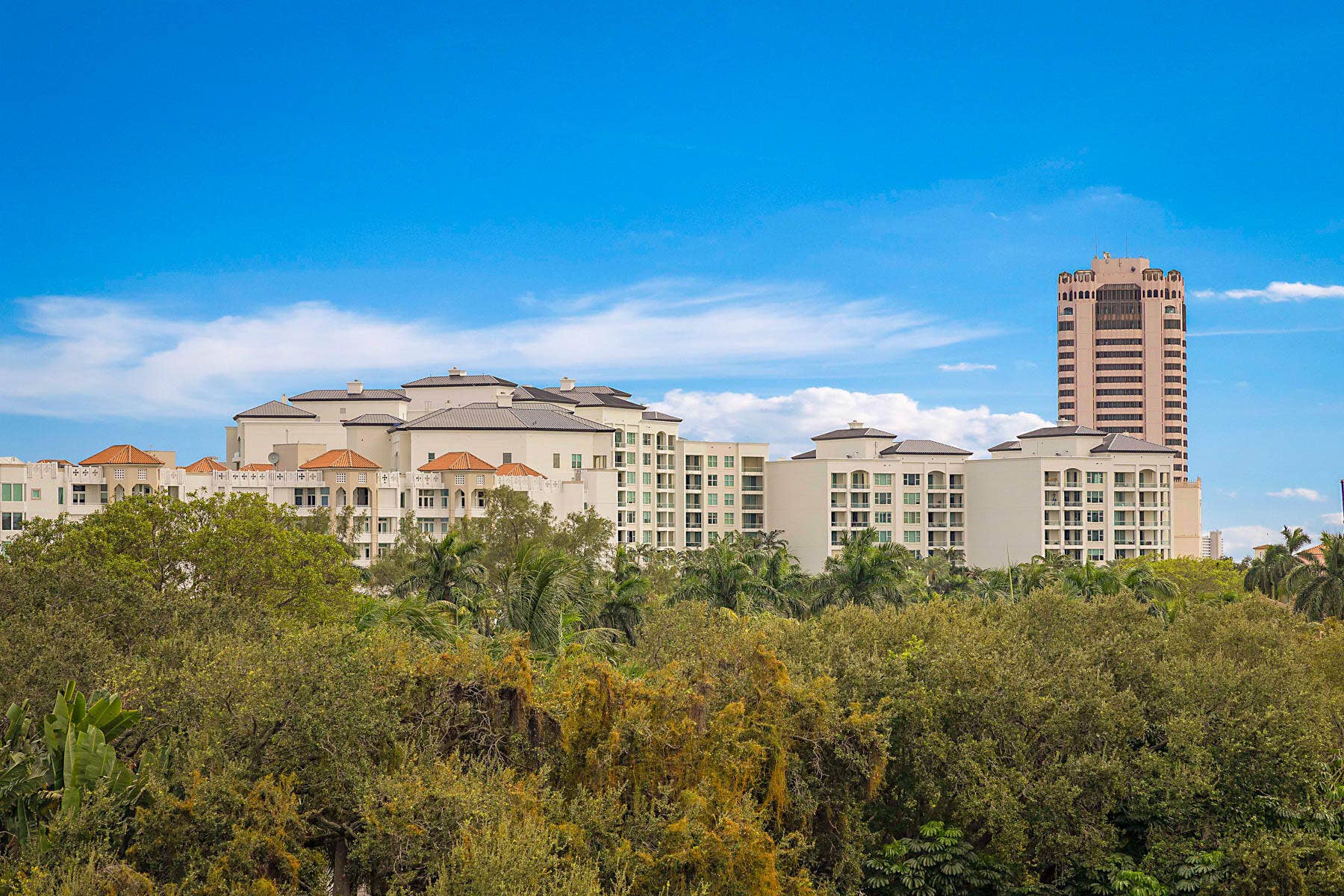 MATURE LANDSCAPE AND BOCA RATON CLUB