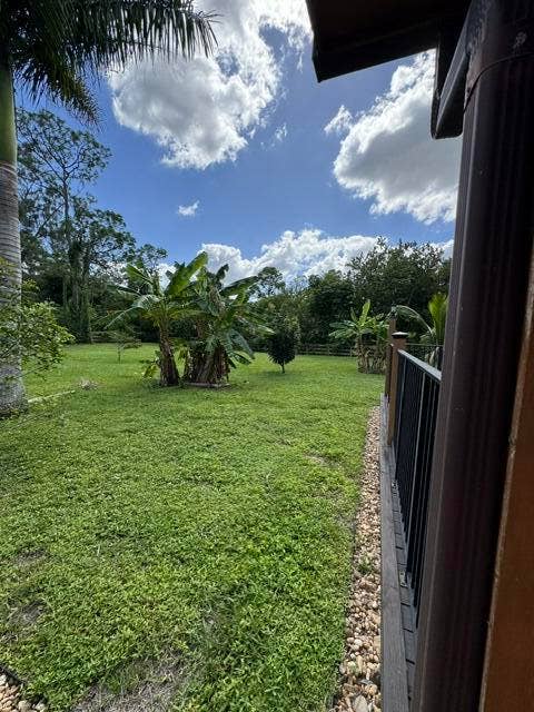 14594 GRUBER Lane, Loxahatchee Groves, FL 33470 FRUIT TREES