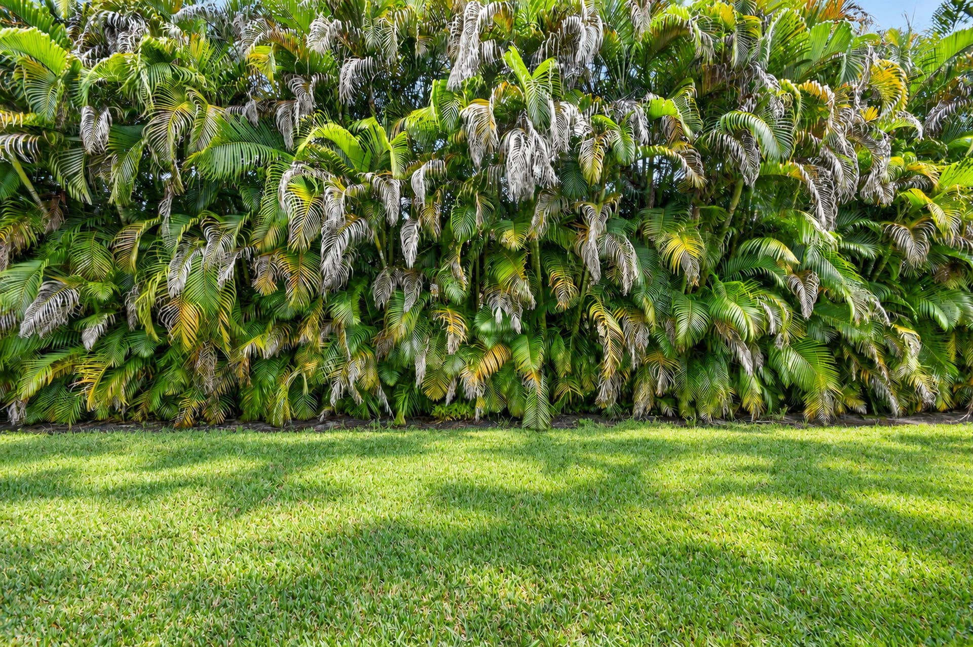 6143 Whalton Street, West Palm Beach, FL 33411 27-web-or-mls-DSC_9696