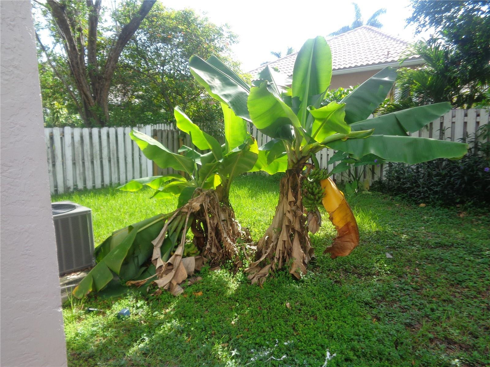 10939 W BROWARD Boulevard, #10939, Plantation, FL 33324 Photo 6