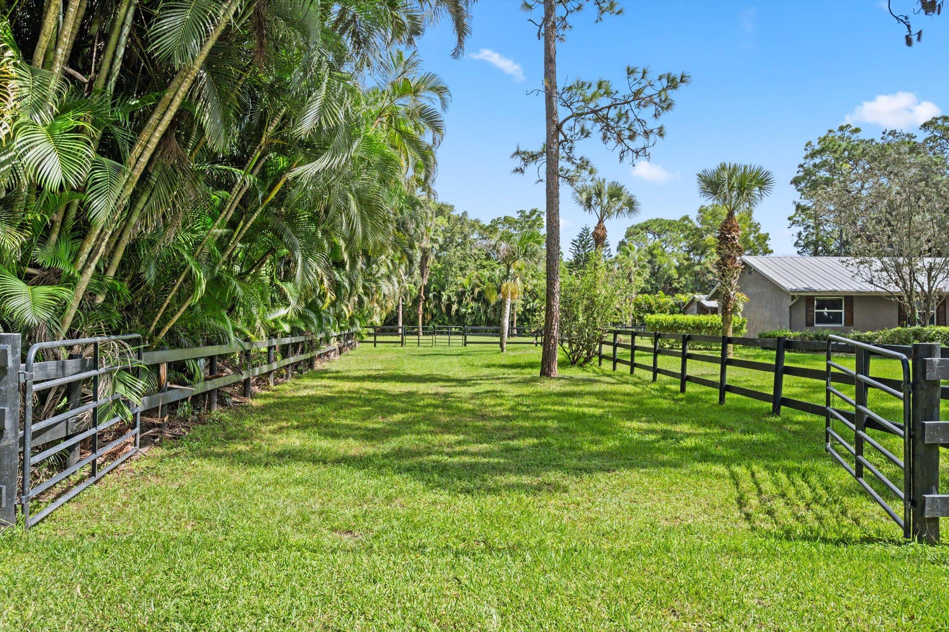 4692 122ND Drive N, The Acreage, FL 33411 42-DSC_0350