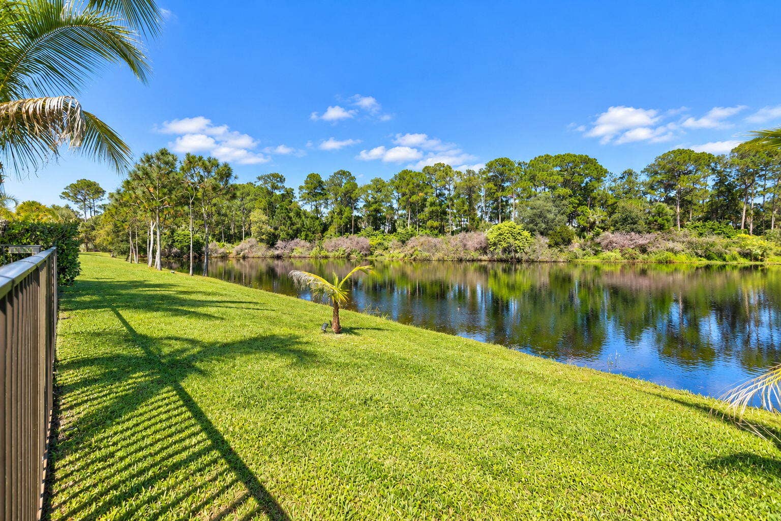 53-web-or-mls-5P1A0539