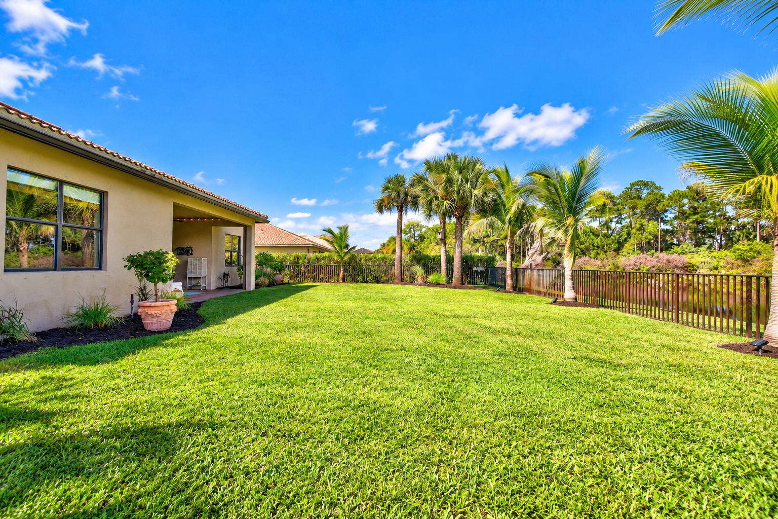 51-web-or-mls-5P1A0540