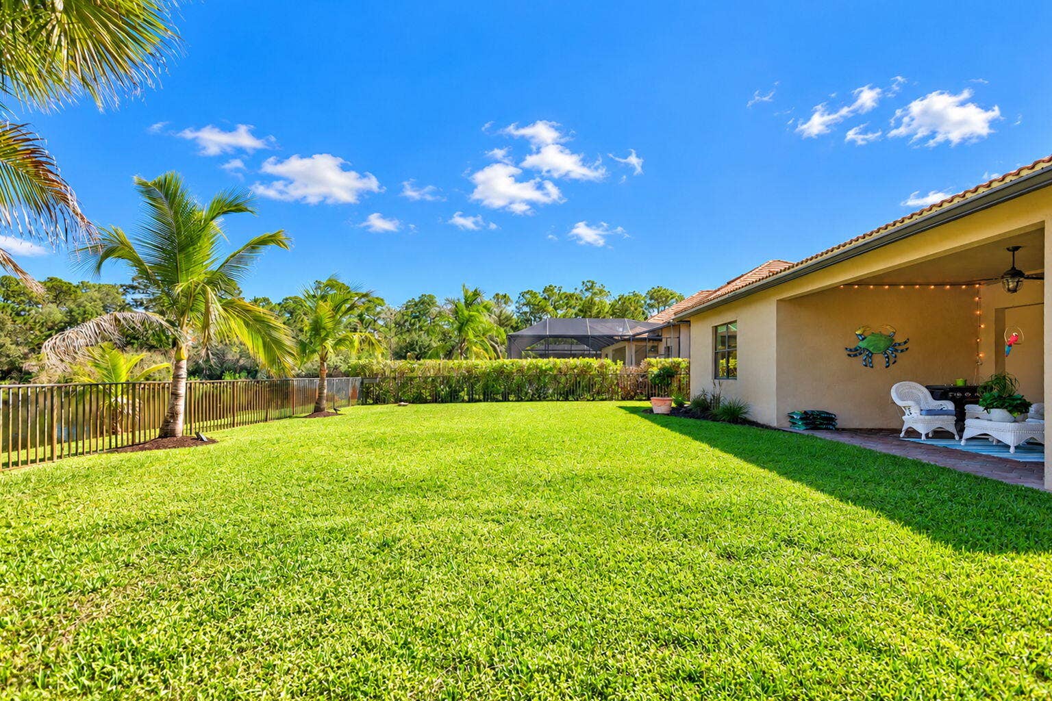 49-web-or-mls-5P1A1751