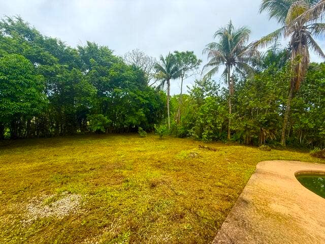 Far Back corner of the backyard