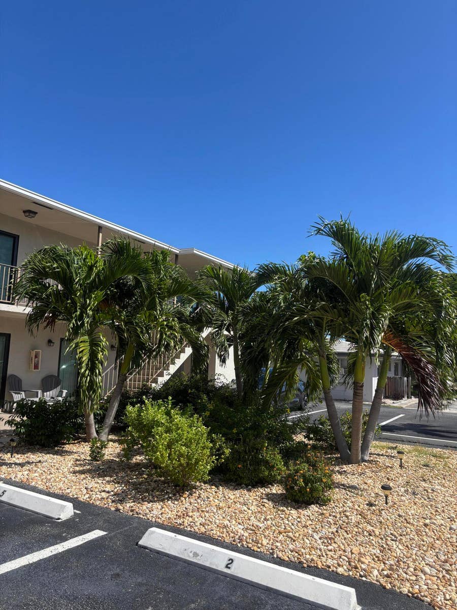 Property photo for 521 NE 45TH Street, #6, Boca Raton, FL