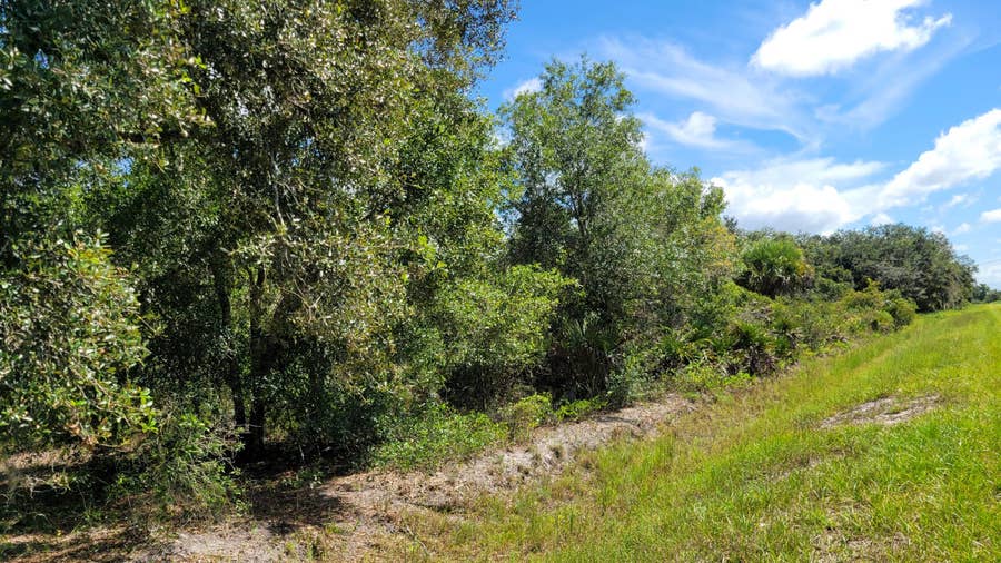 Property photo for 21283 NW 254TH Street, Okeechobee, FL