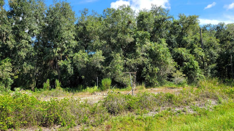 Property photo for 21439 NW 254TH Street, Okeechobee, FL