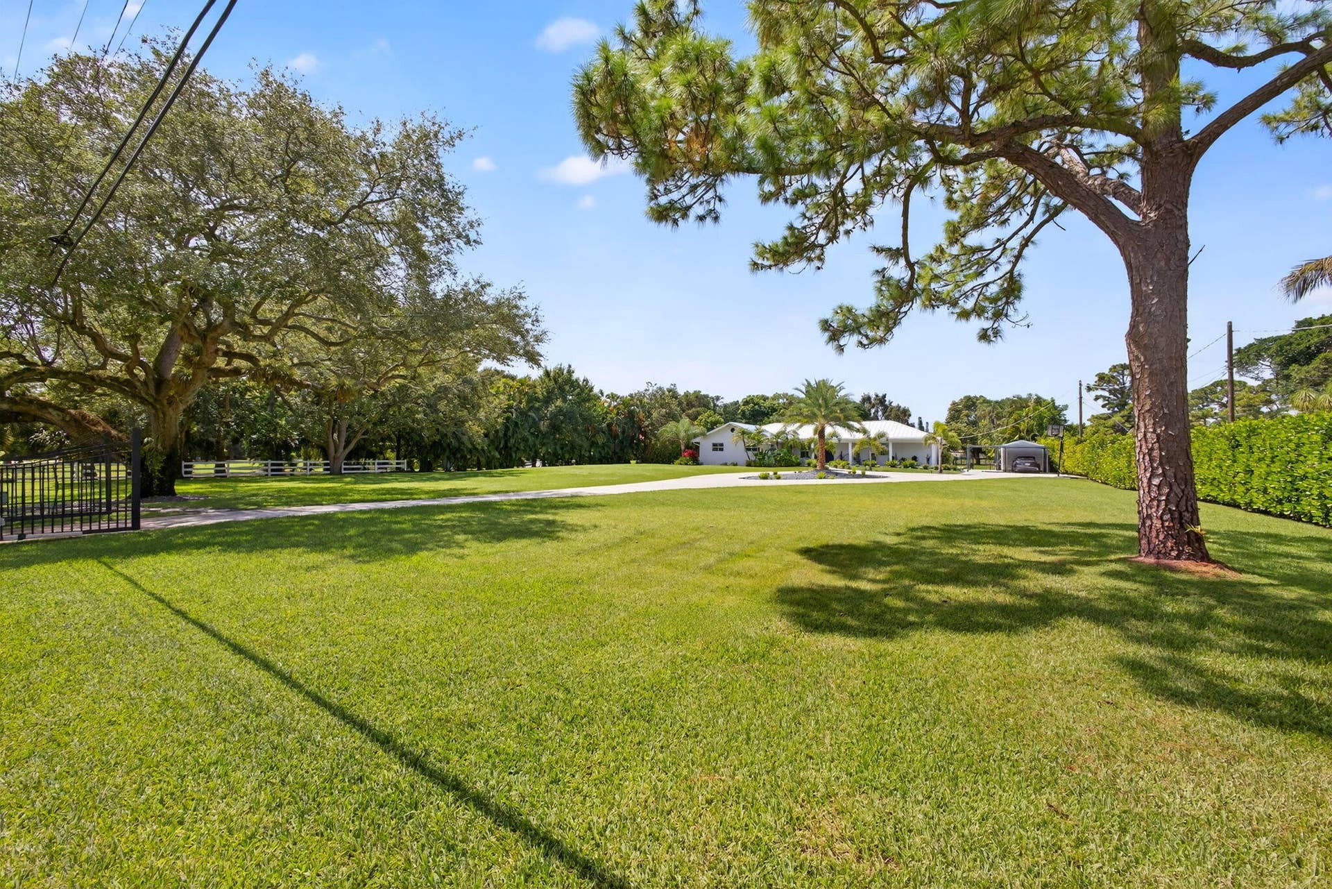 4628 Square Lake Drive, Palm Beach Gardens, FL 33418 Expansive grounds featuring a manicured lawn, mature trees, an asphalt driveway, and perimeter greenery