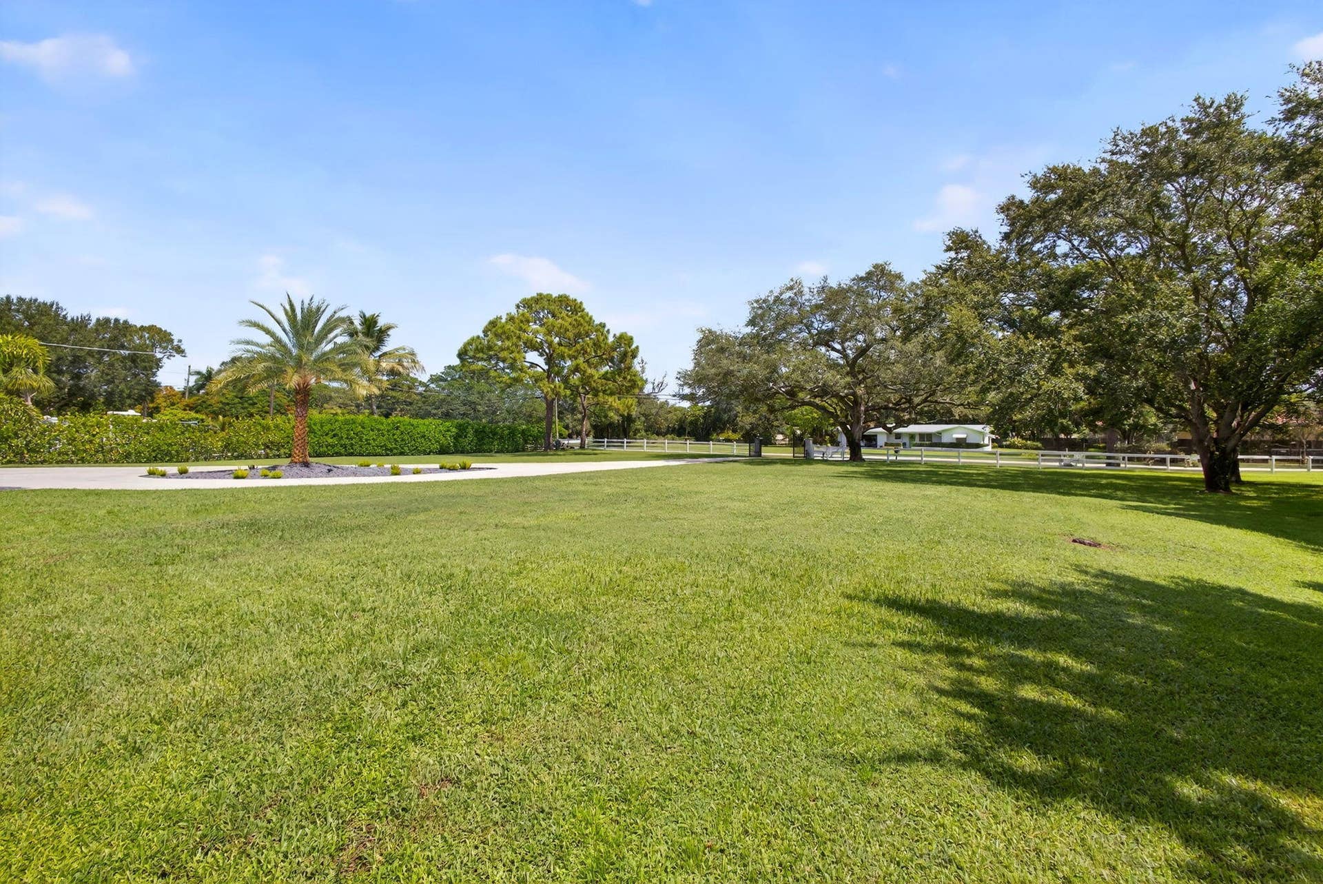 4628 Square Lake Drive, Palm Beach Gardens, FL 33418 Expansive lawn featuring mature trees, a central palm tree, and white perimeter fencing